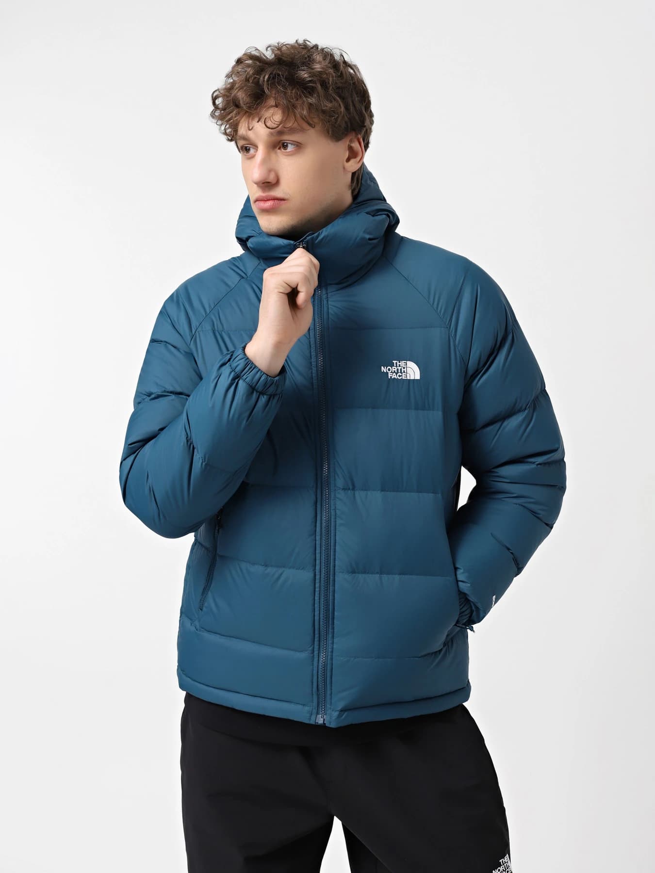 Куртки и дубленки The North Face модель NF0A5GIE1NO1