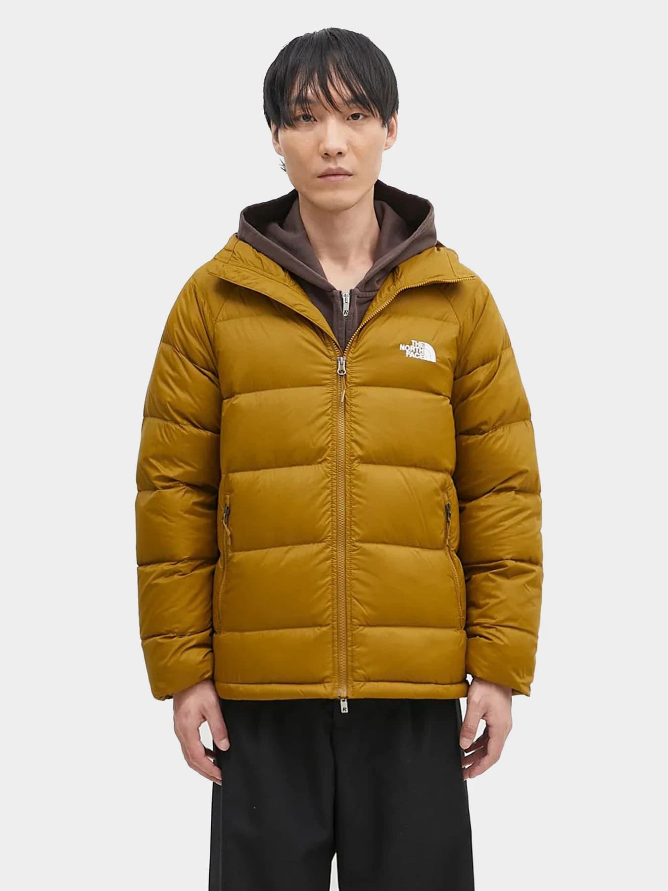 Куртки и дубленки The North Face модель NF0A5GIE1OB1