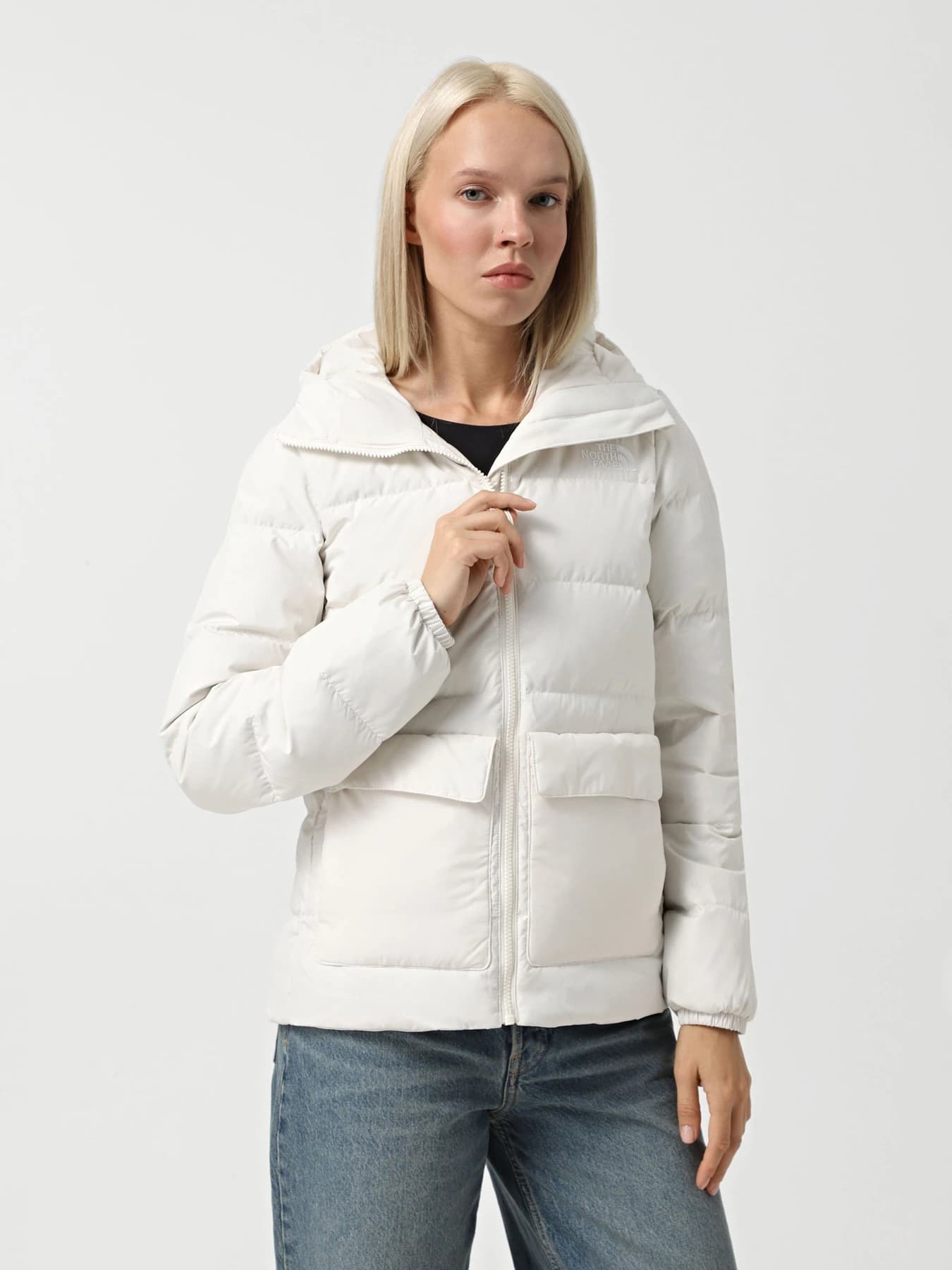 Куртки и дубленки The North Face модель NF0A84IWQLI1