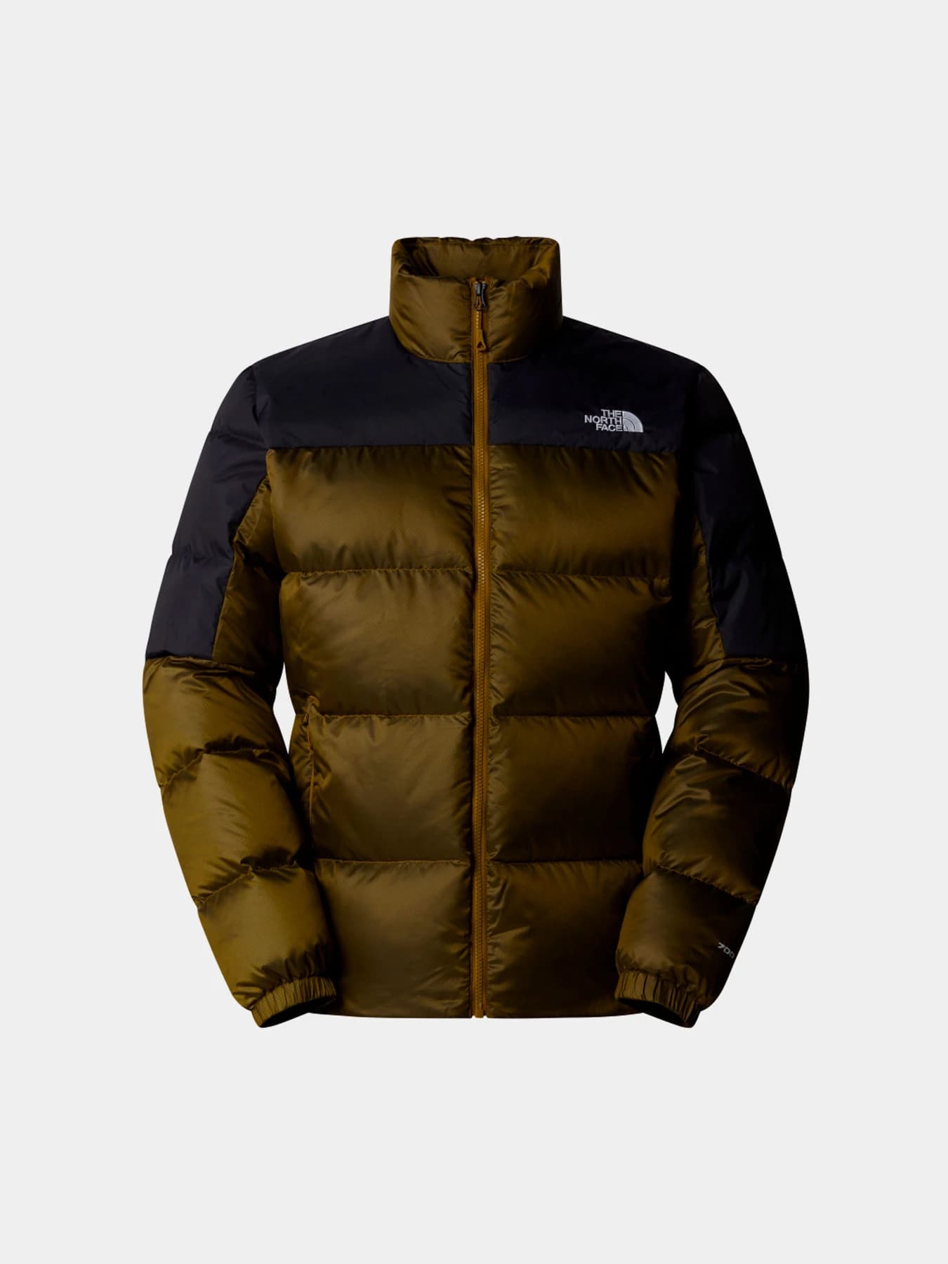 Куртки и дубленки The North Face модель NF0A899390I1