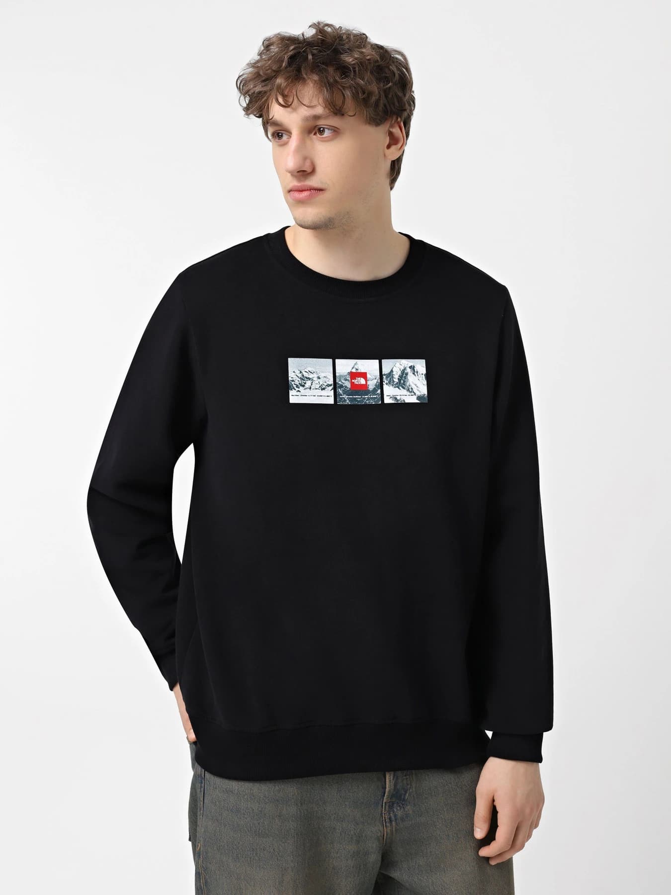 Худи и свитшоты The North Face модель NF0A89DDJK31