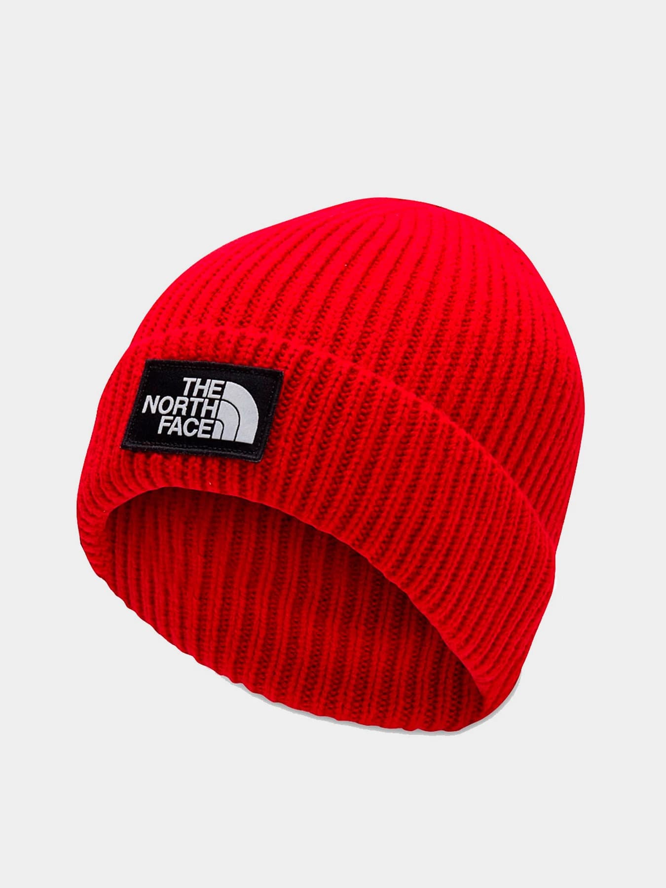 Шапки и кепки The North Face модель NF0A3FJX6821