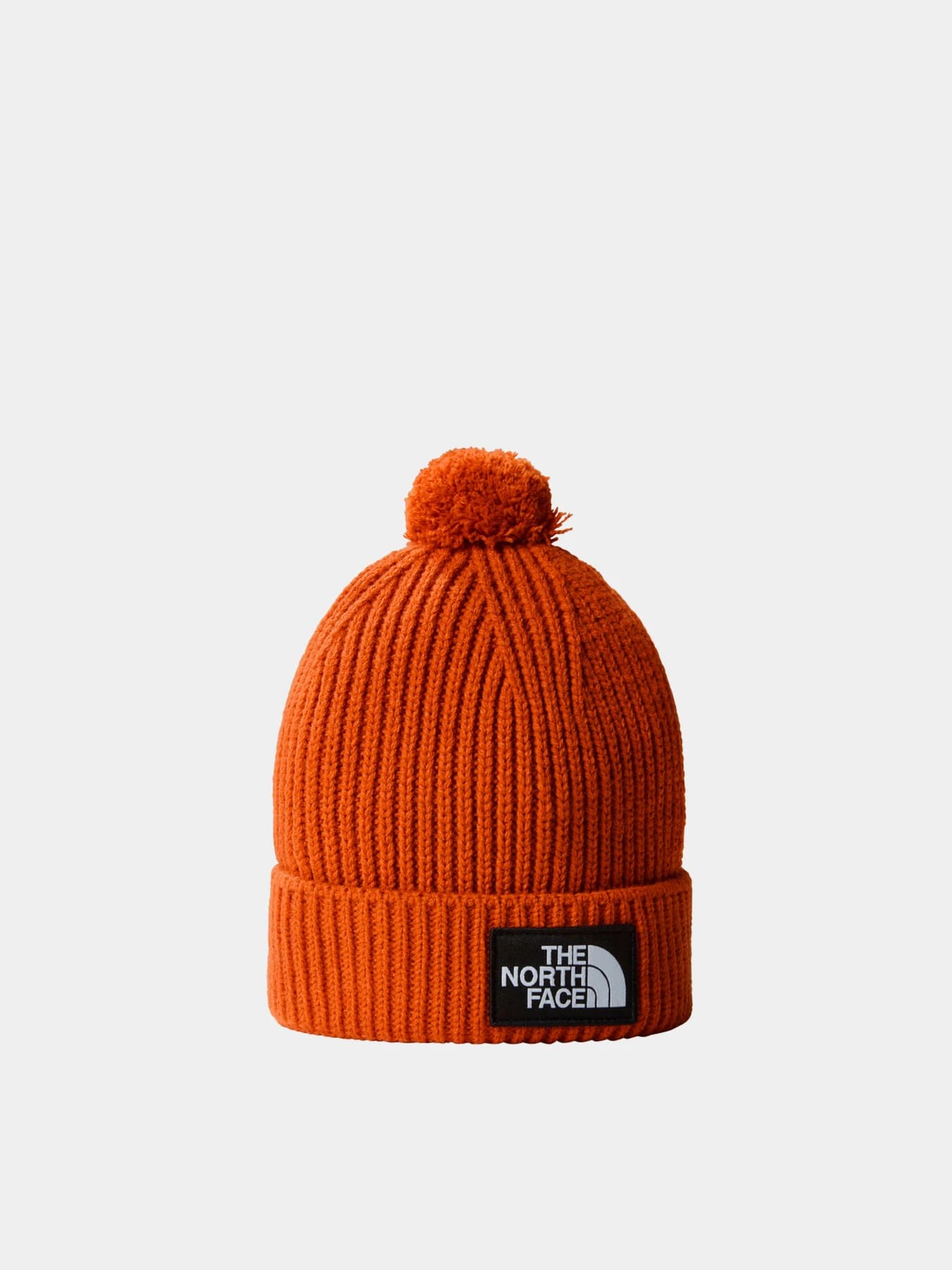 Шапки и кепки The North Face модель NF0A3FN31I01
