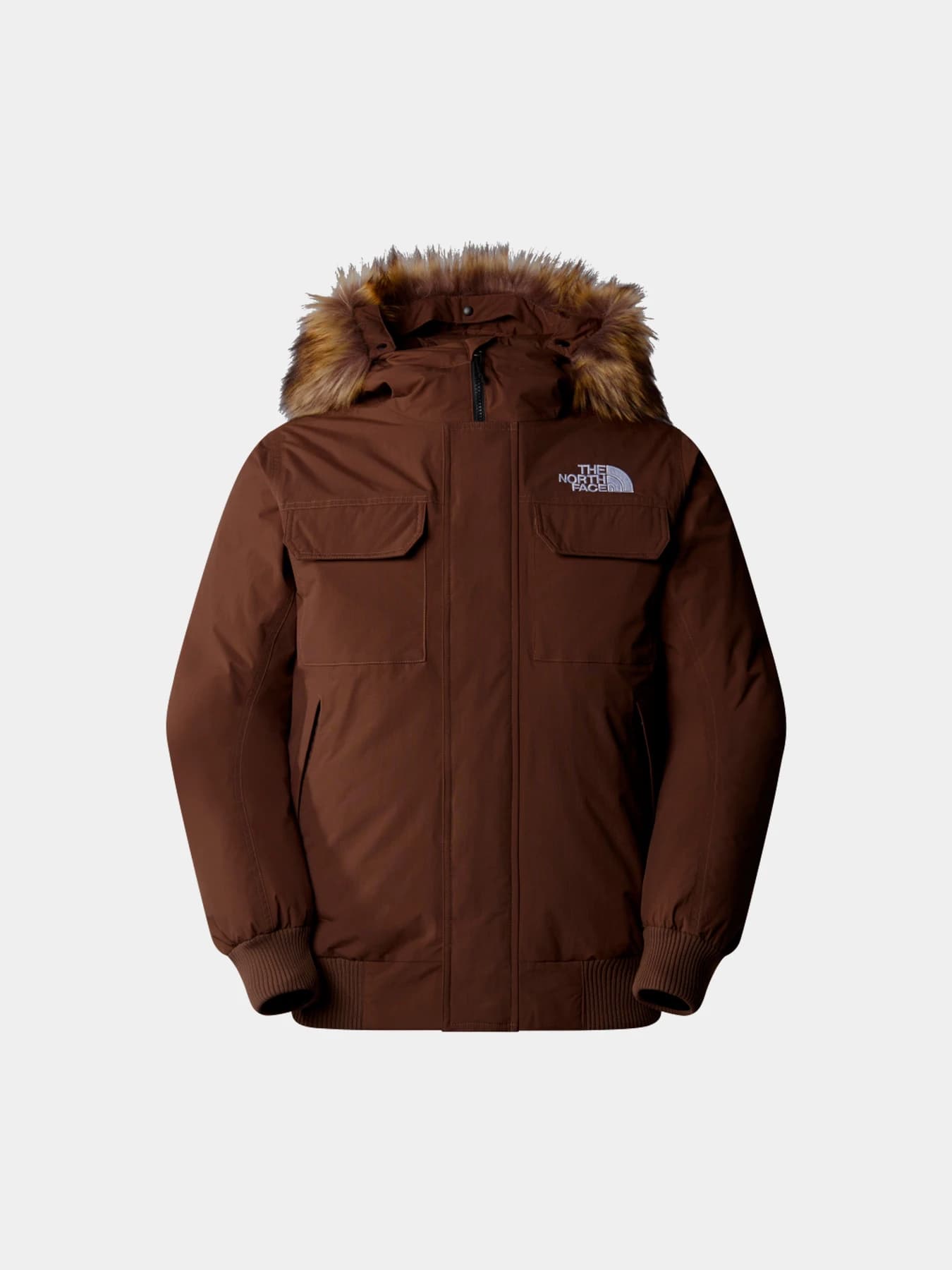 Куртки и дубленки The North Face модель NF0A5GD91OI1