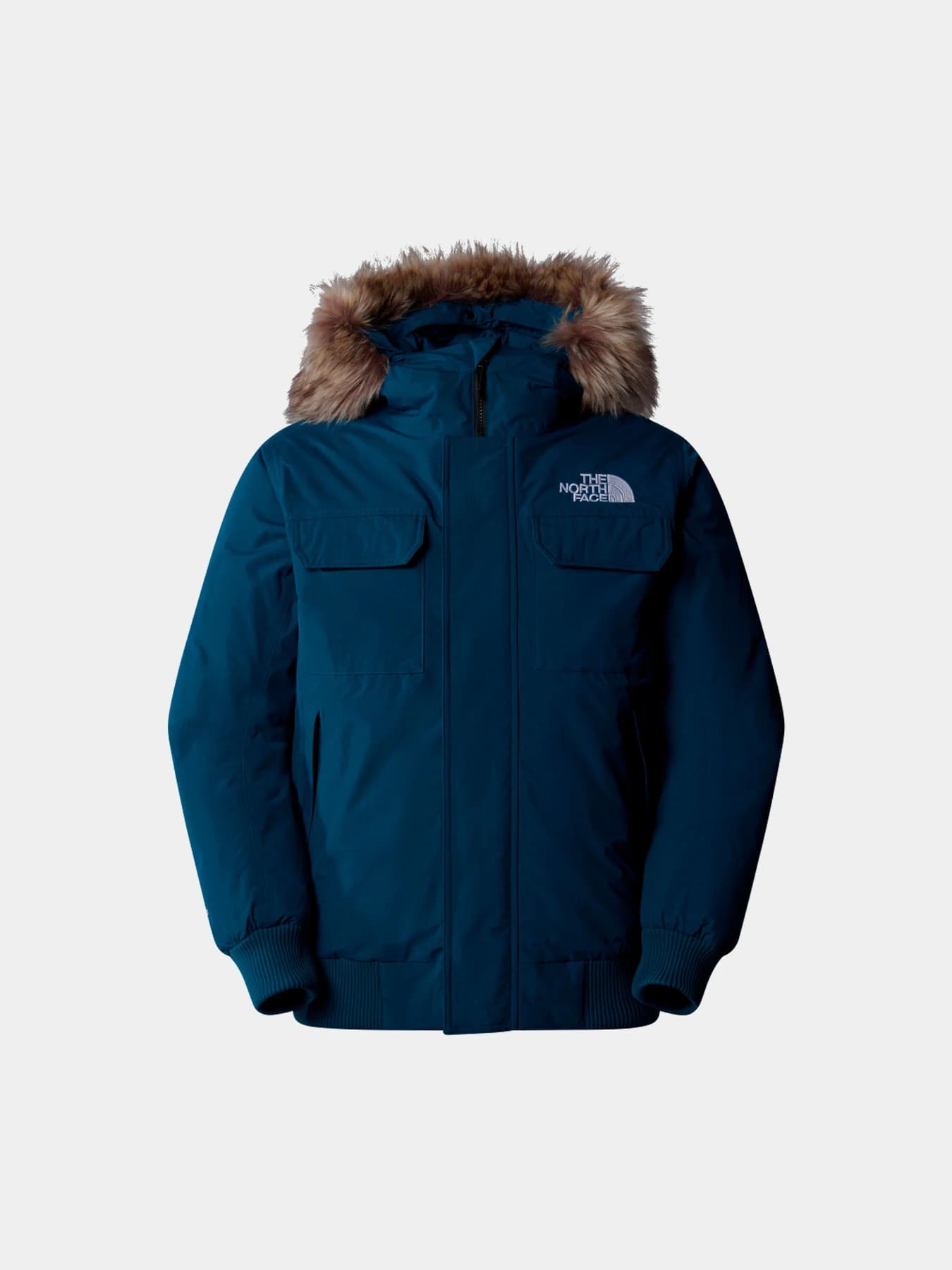 Куртки и дубленки The North Face модель NF0A5GD91NO1