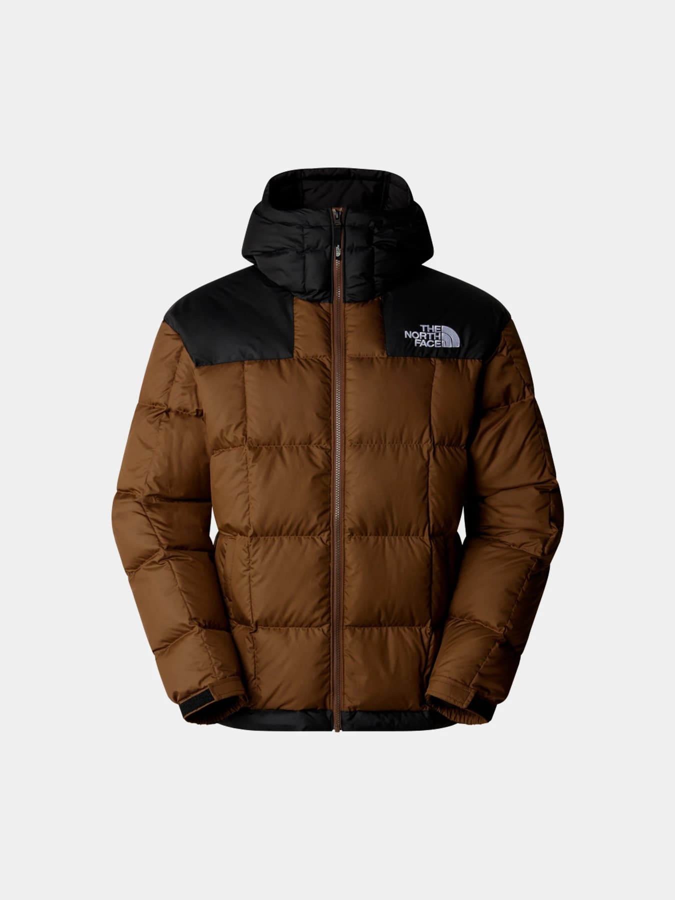 Куртки и дубленки The North Face модель NF0A853C1OI1