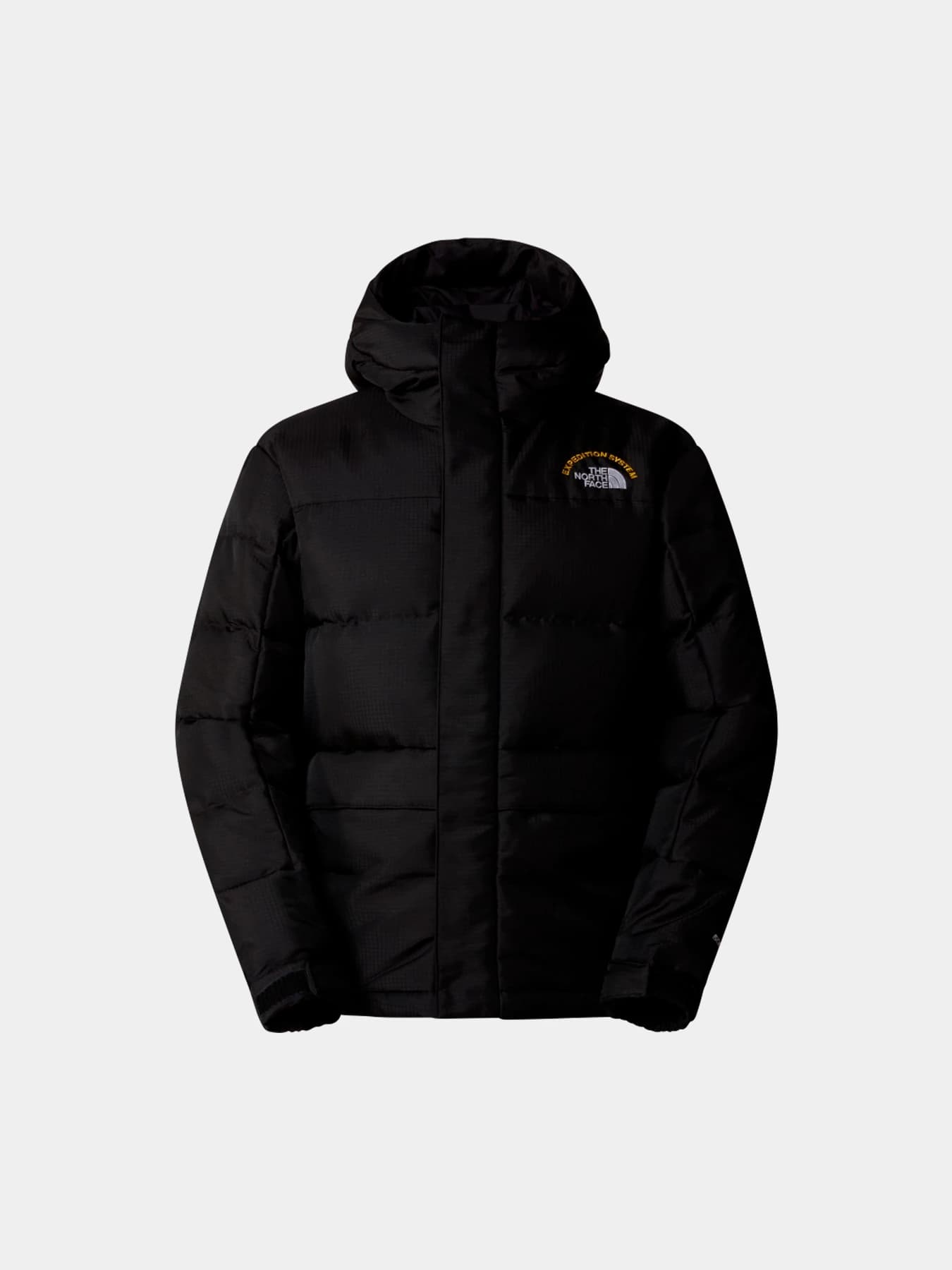 Куртки и дубленки The North Face модель NF0A88XEJK31