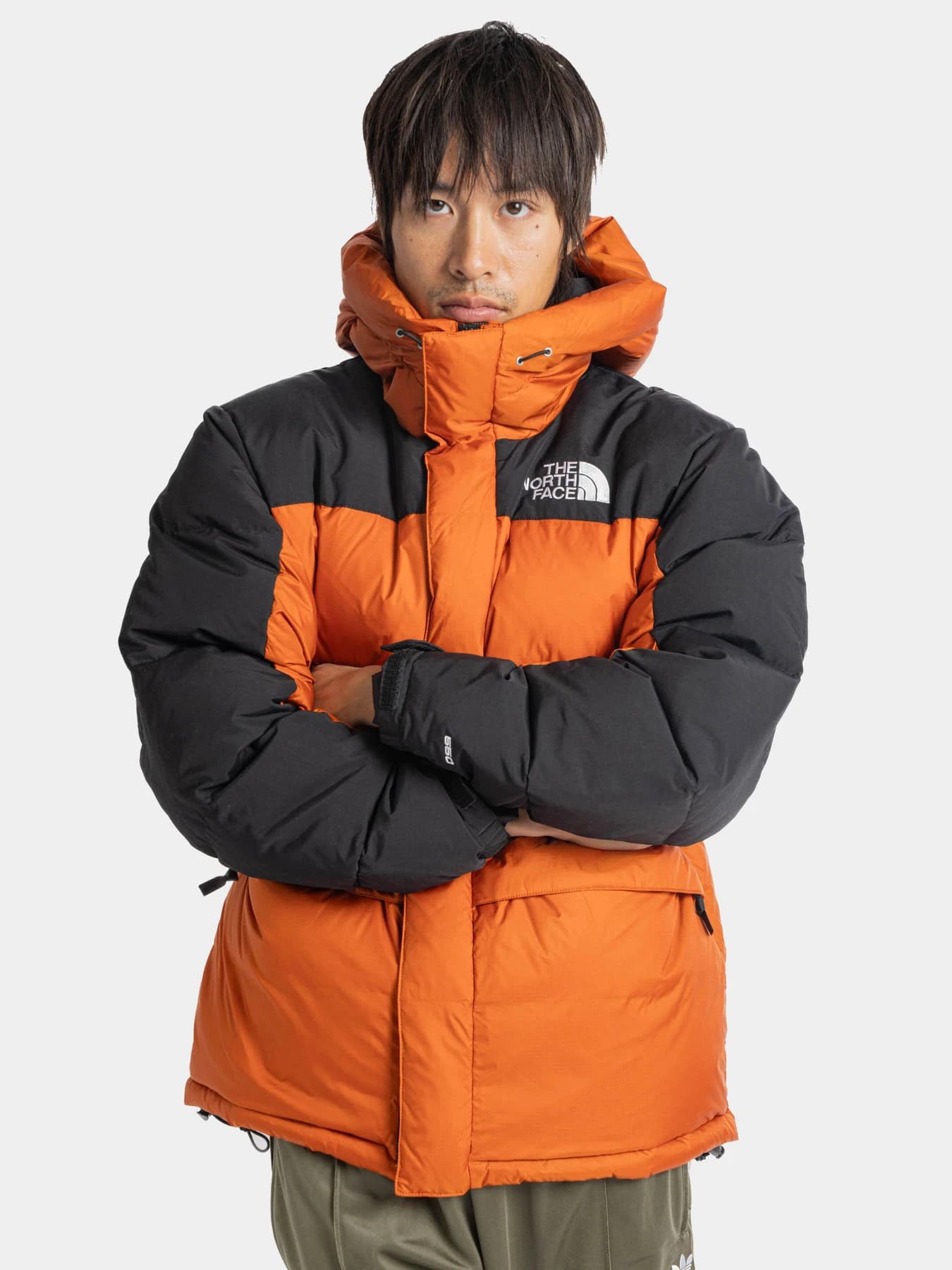 Куртки и дубленки The North Face модель NF0A4QYX5PO1