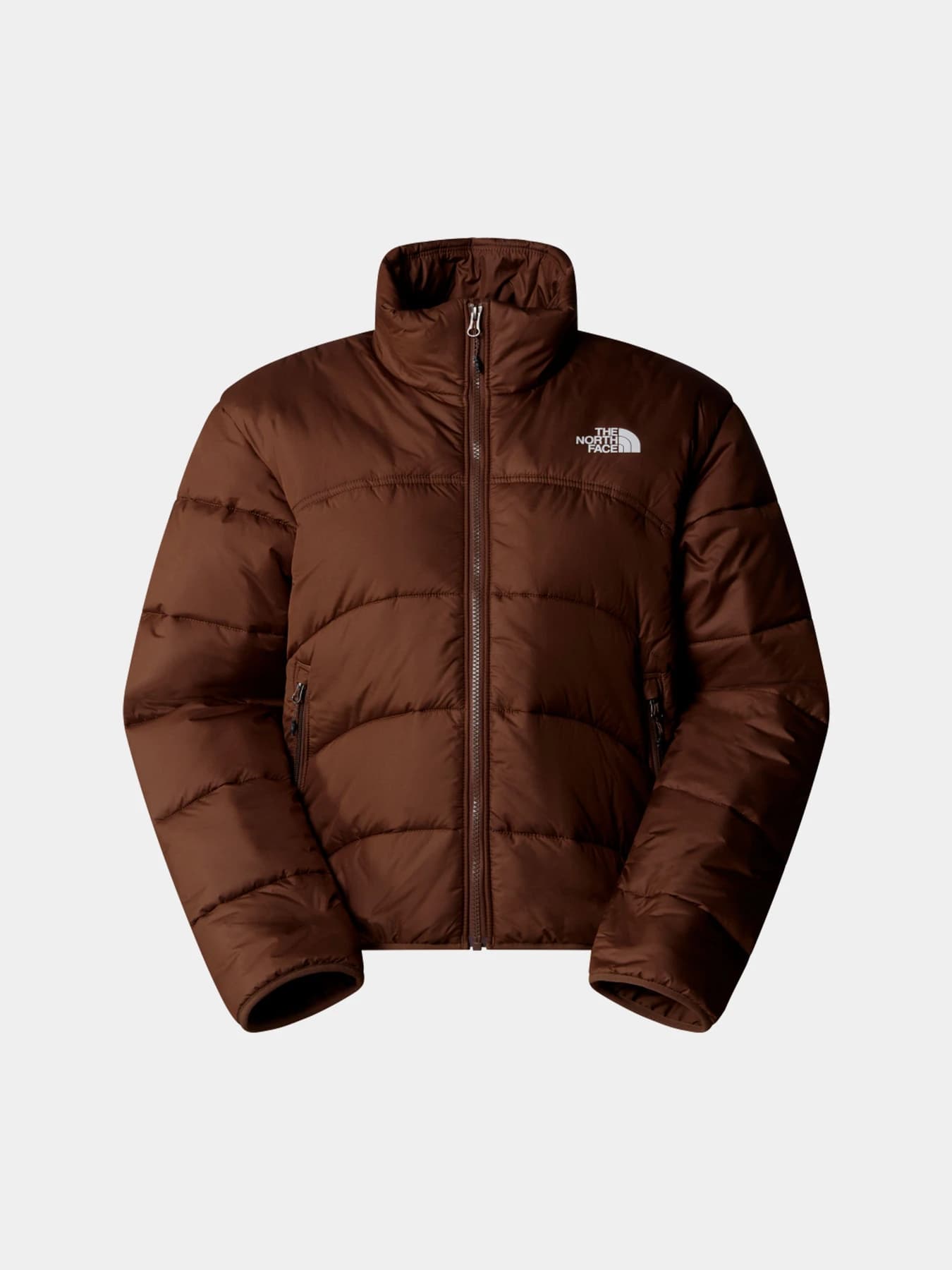 Куртки и дубленки The North Face модель NF0A7URF1OI1