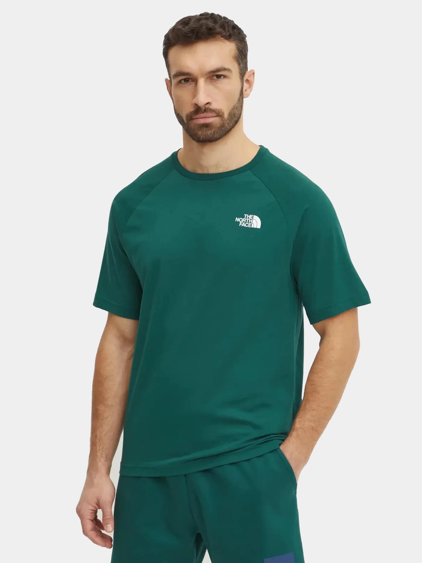 Футболки и поло The North Face модель NF0A87NU6GI1