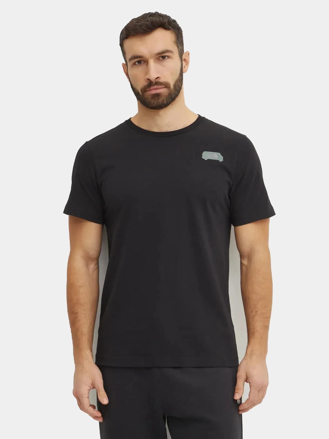 Футболки и поло The North Face модель NF0A8C1ZJK31