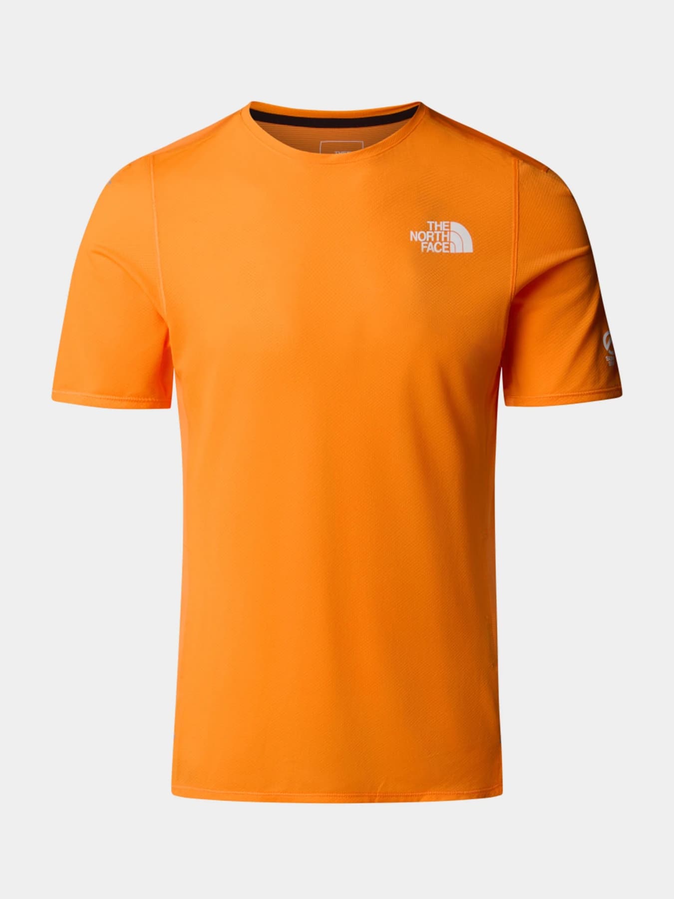 Футболки и поло The North Face модель NF0A88XC6HI1