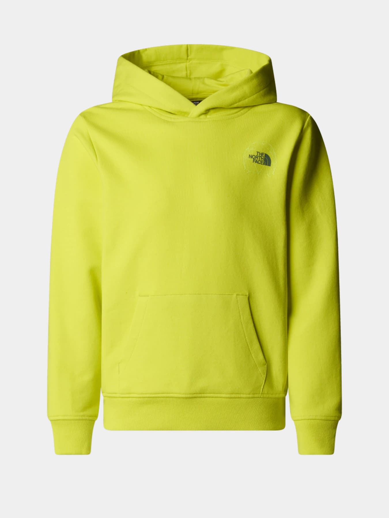 Худи и свитшоты The North Face модель NF0A8AXTJE31