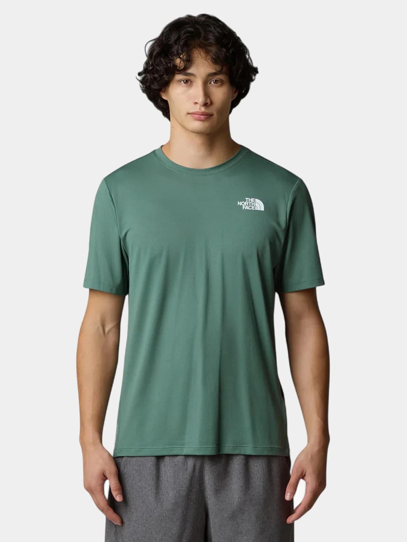 Футболки и поло The North Face модель NF0A895MHCH1