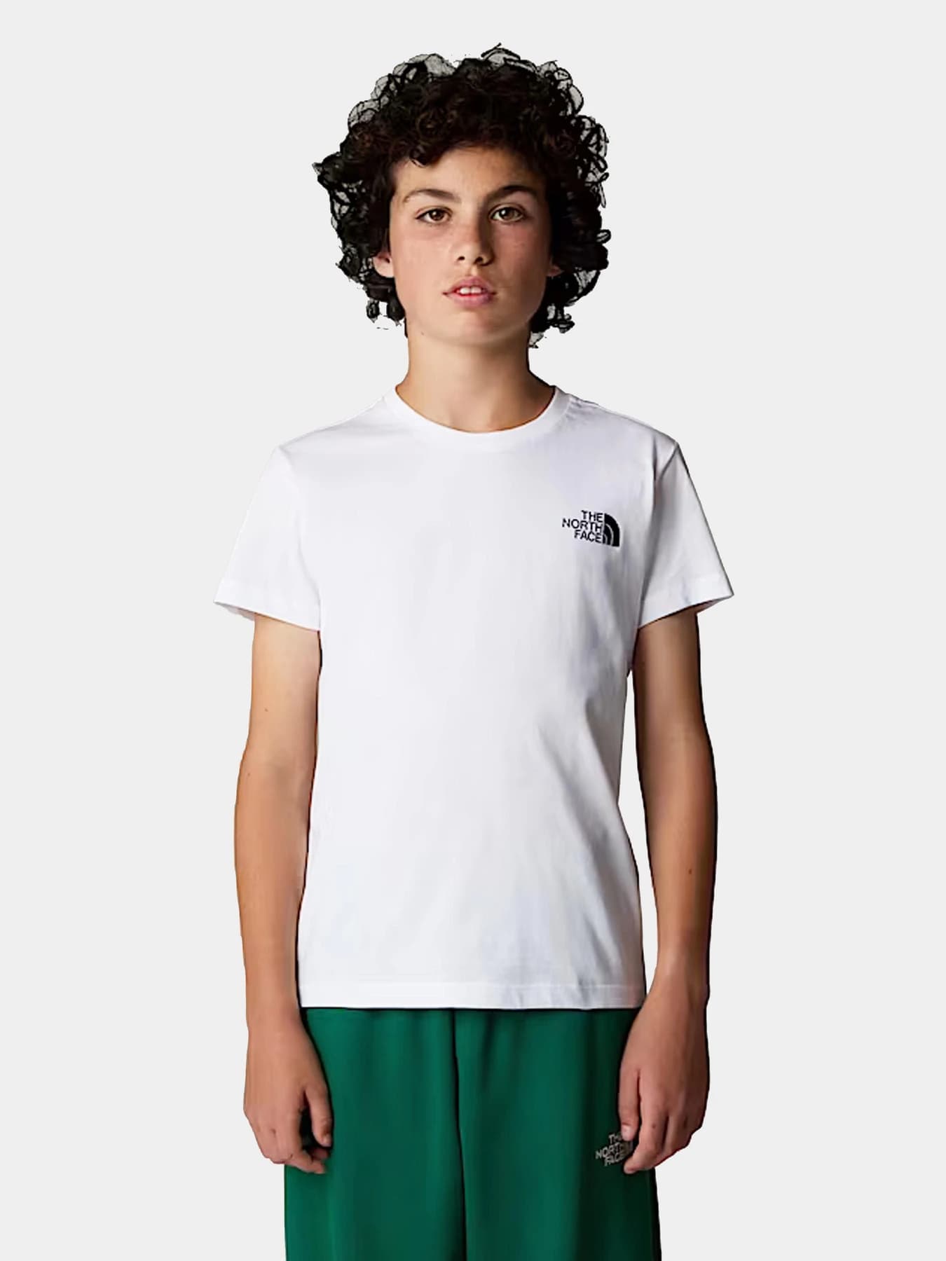 Футболки и поло The North Face модель NF0A89VTFN41