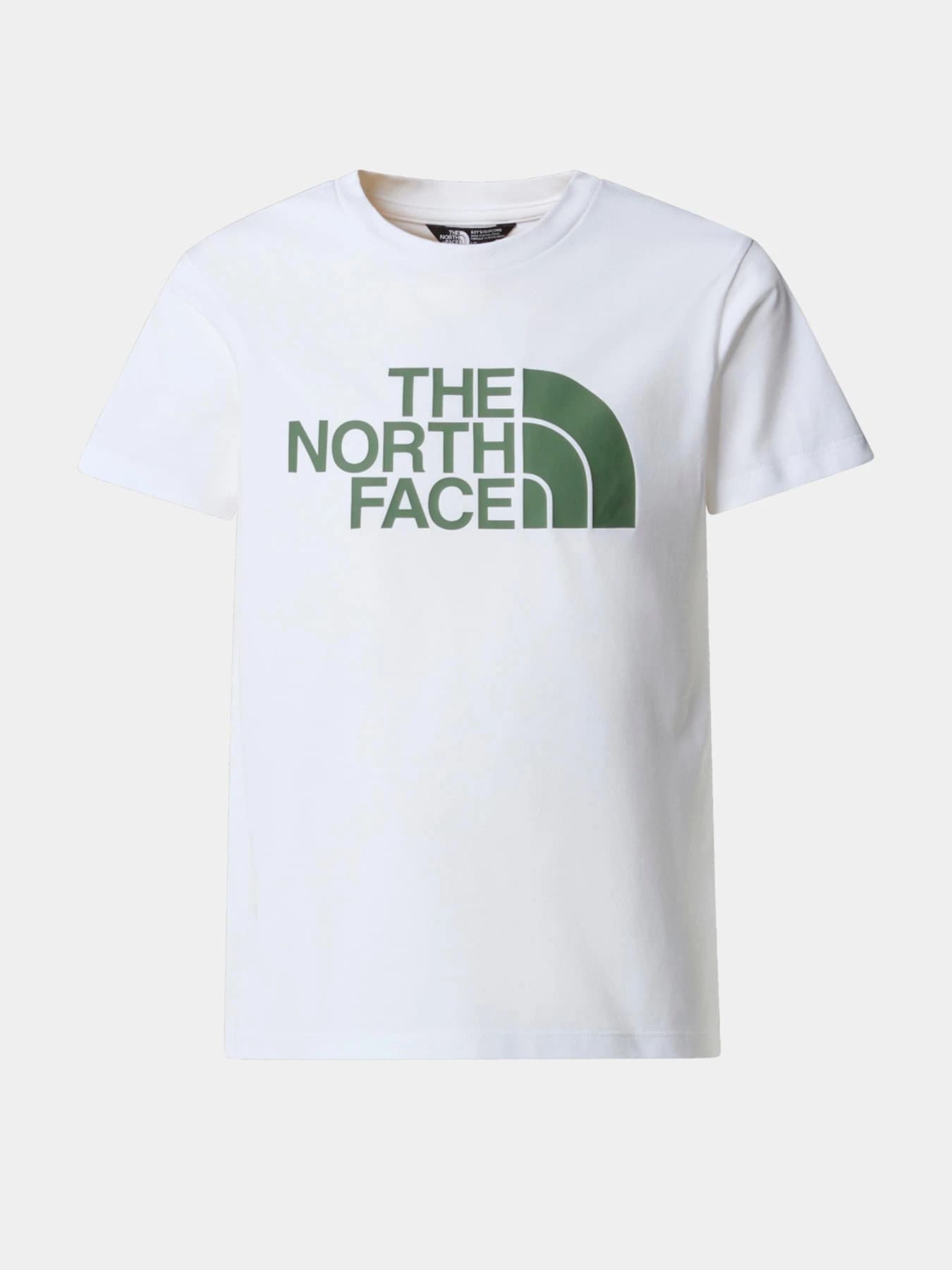 Футболки и поло The North Face модель NF0A8DRN9ZN1