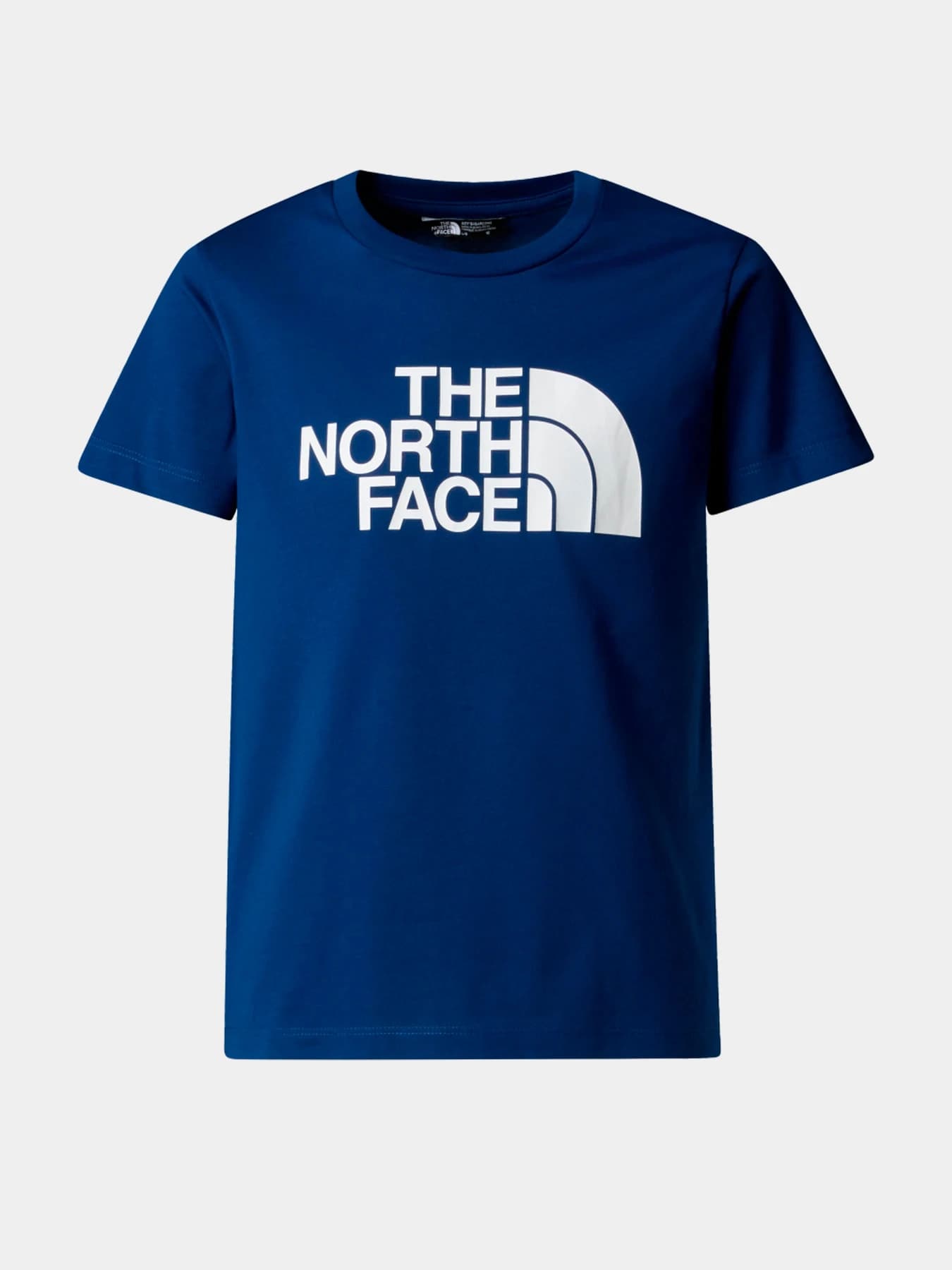 Футболки и поло The North Face модель NF0A8DRND1R1