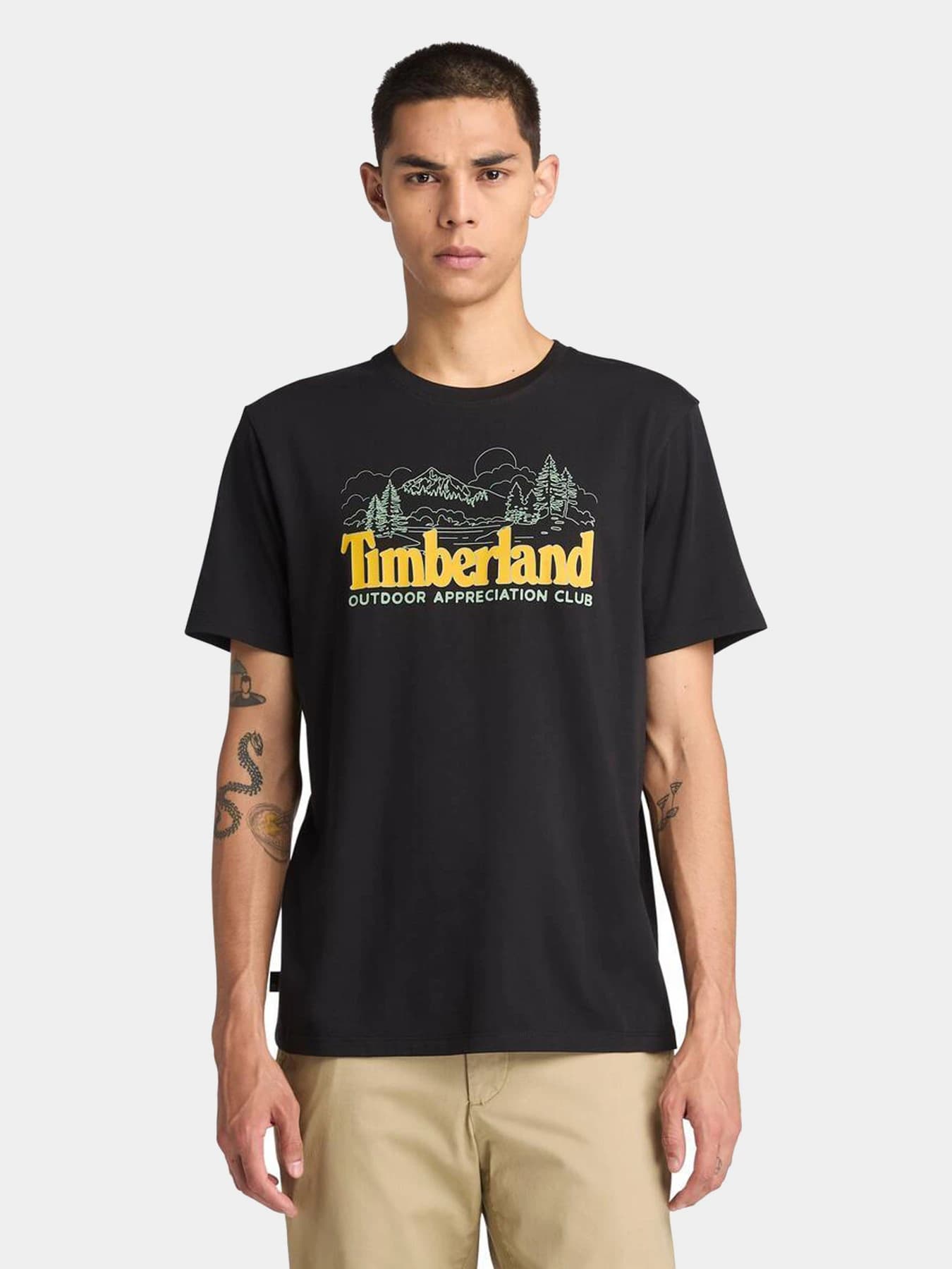 Футболки и поло Timberland модель TB0A6DAG001