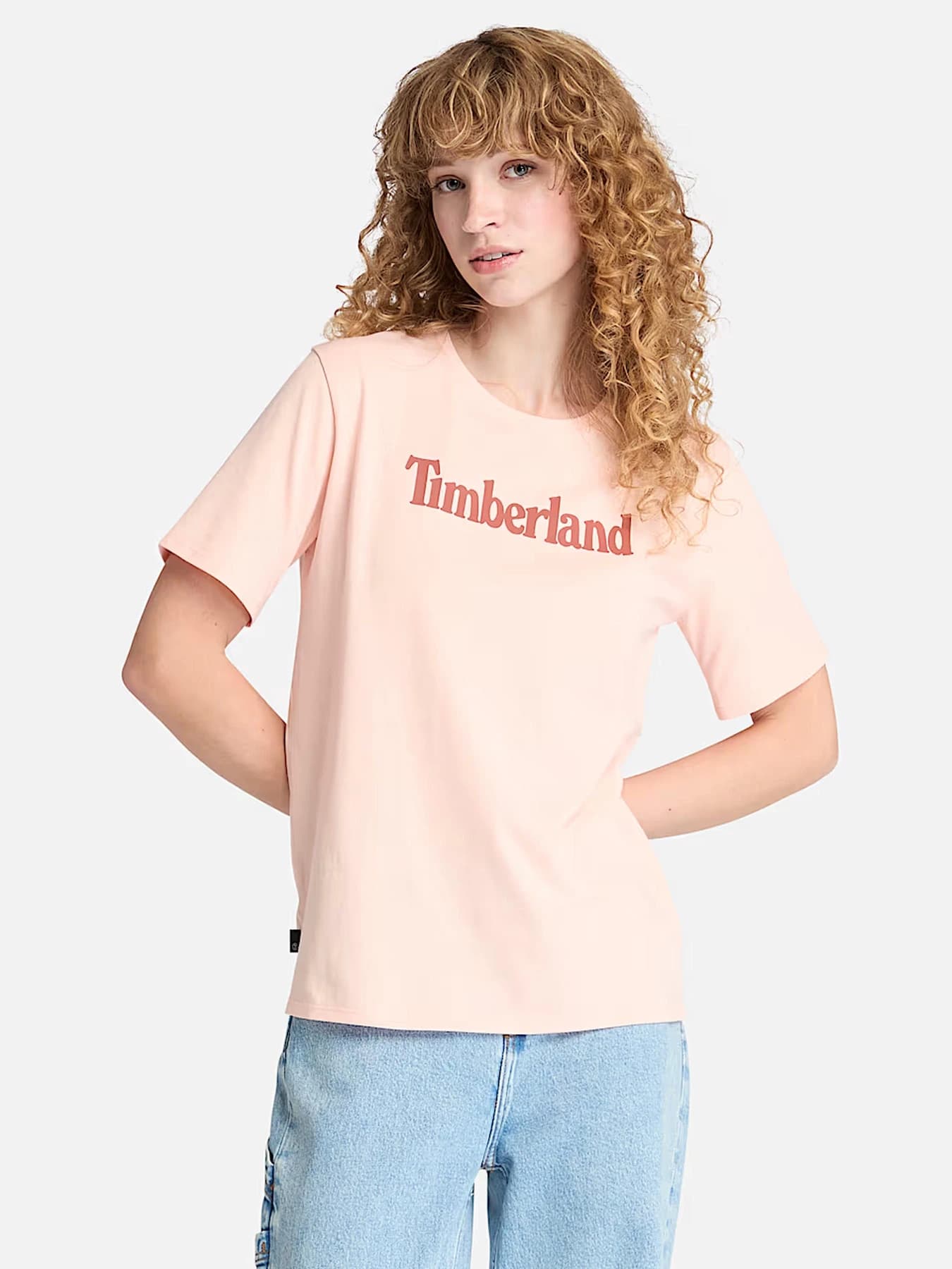 Футболки и поло Timberland модель TB0A6AZPERV