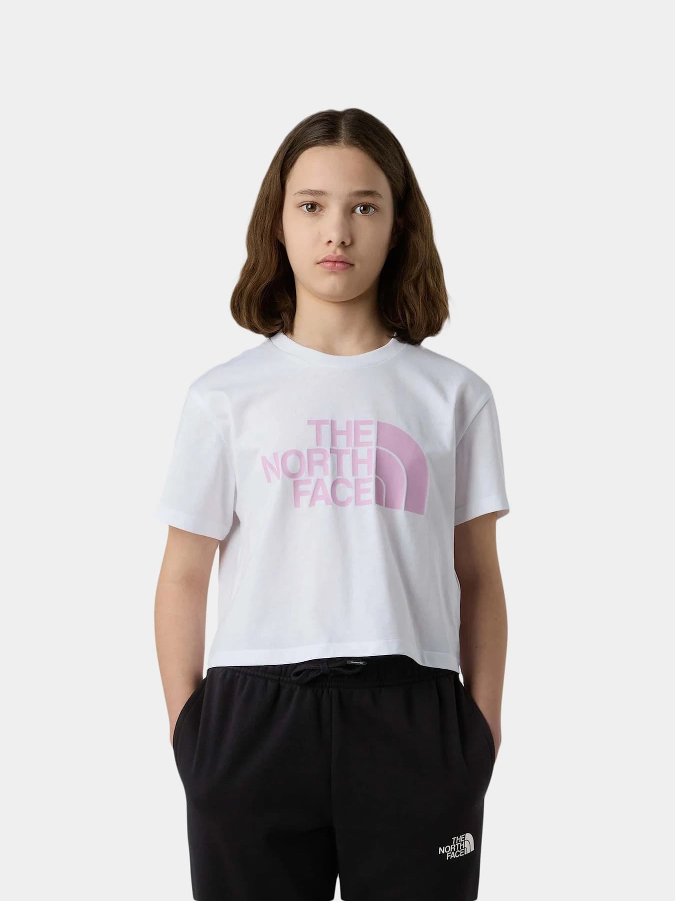 Футболки и поло The North Face модель NF0A8DRQ9ZT1