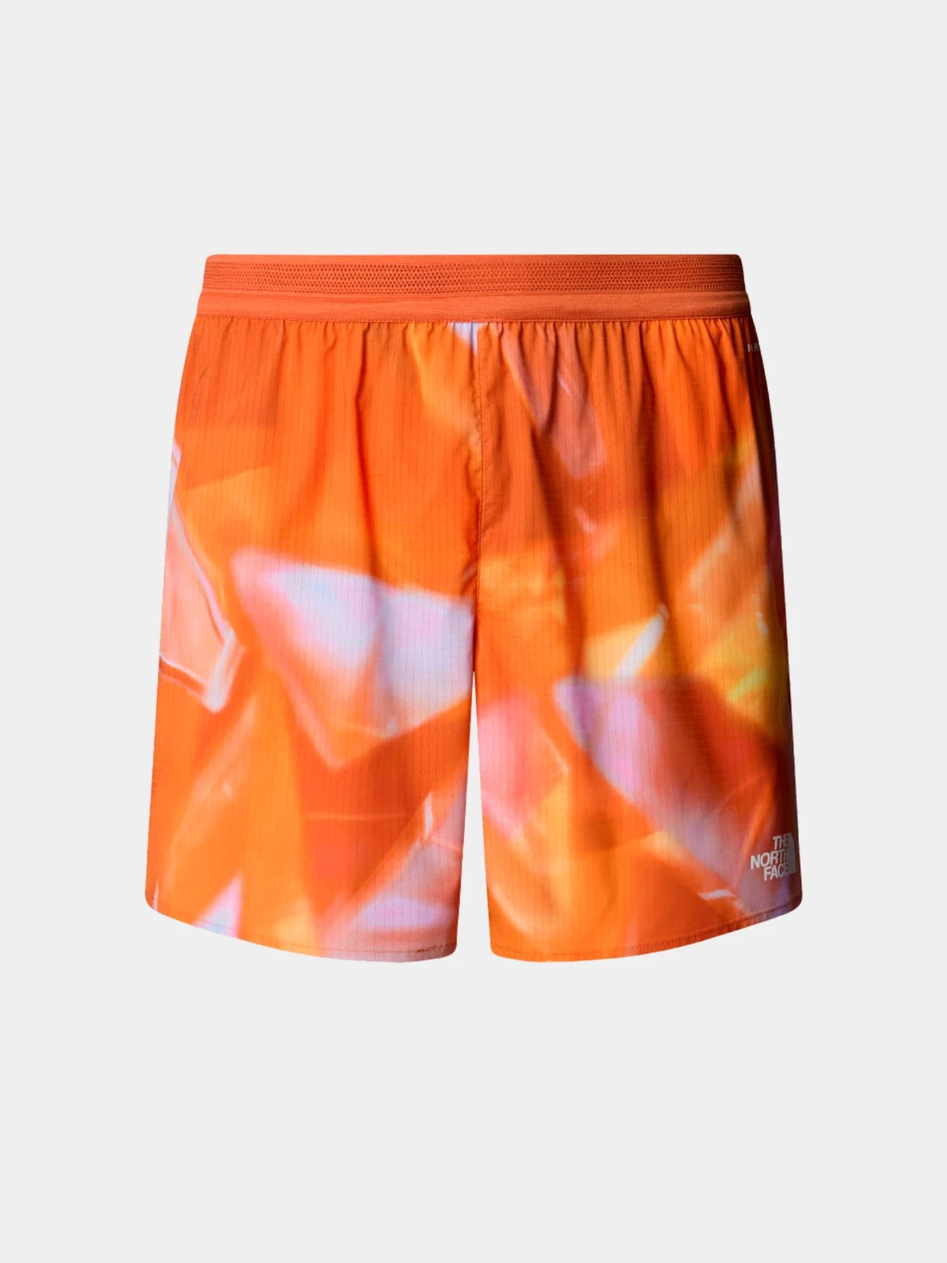 Шорты The North Face модель NF0A8BBU63K1