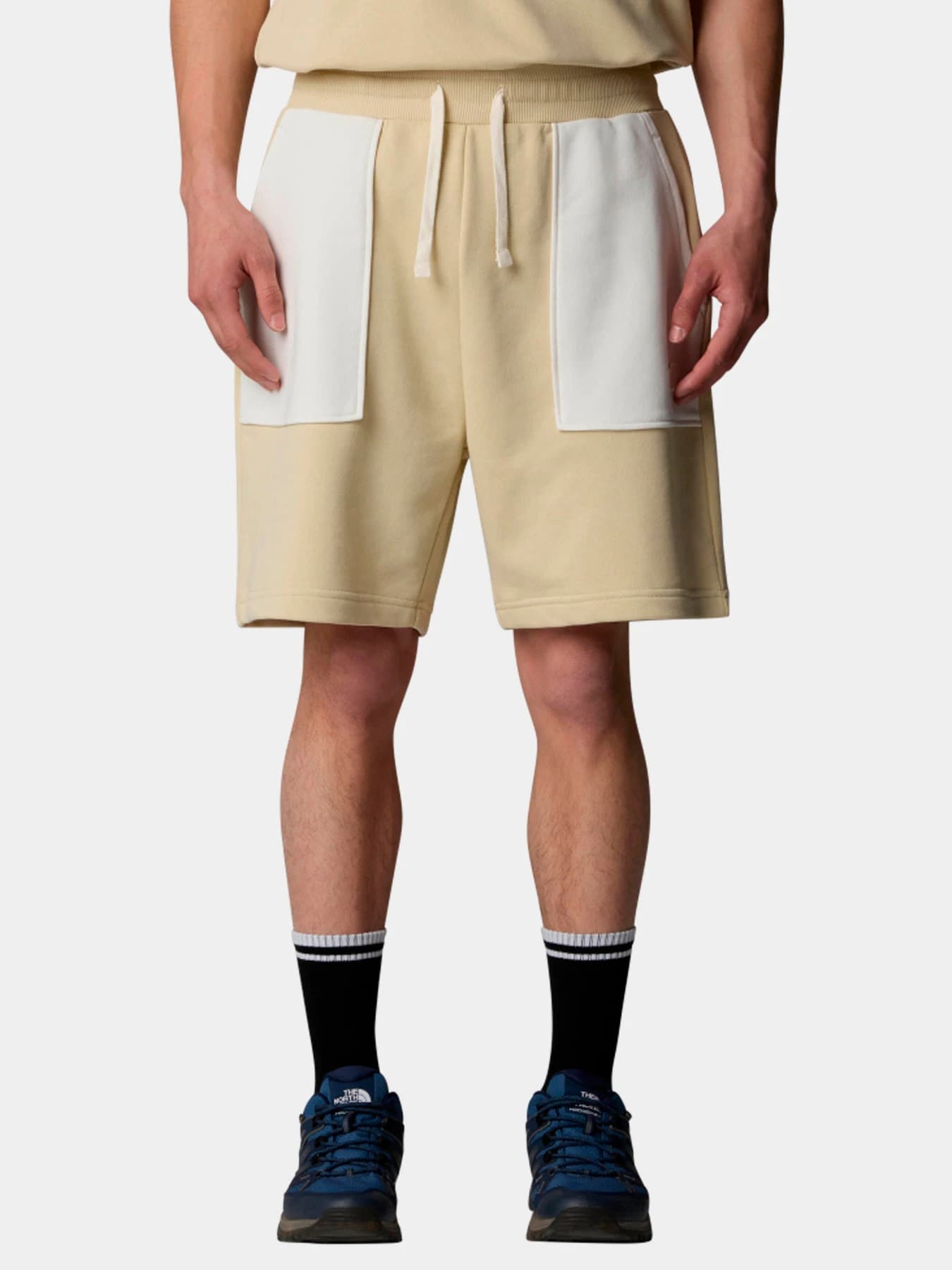 Шорты The North Face модель NF0A8C293X41