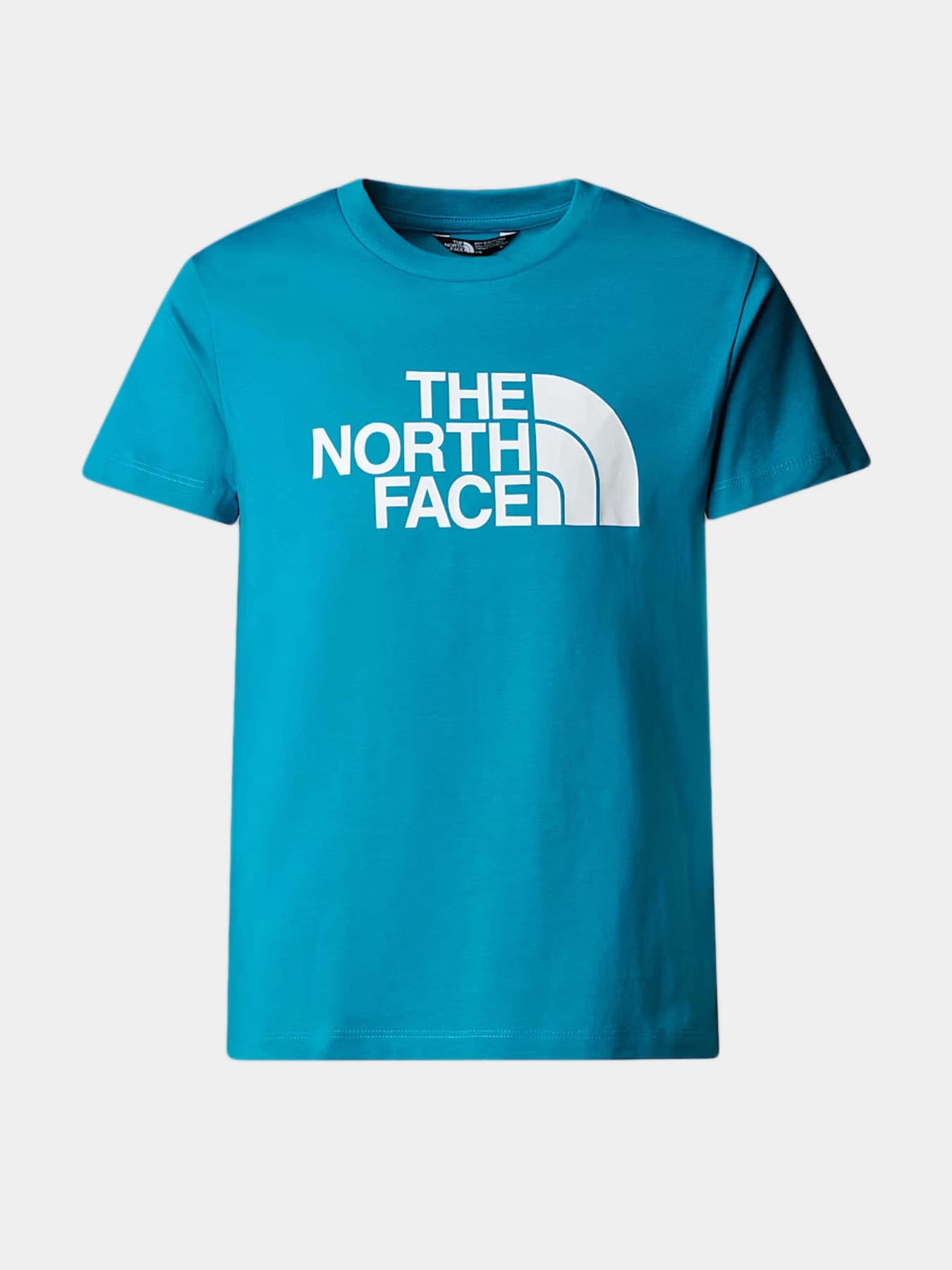 Футболки и поло The North Face модель NF0A8DRN6HO1