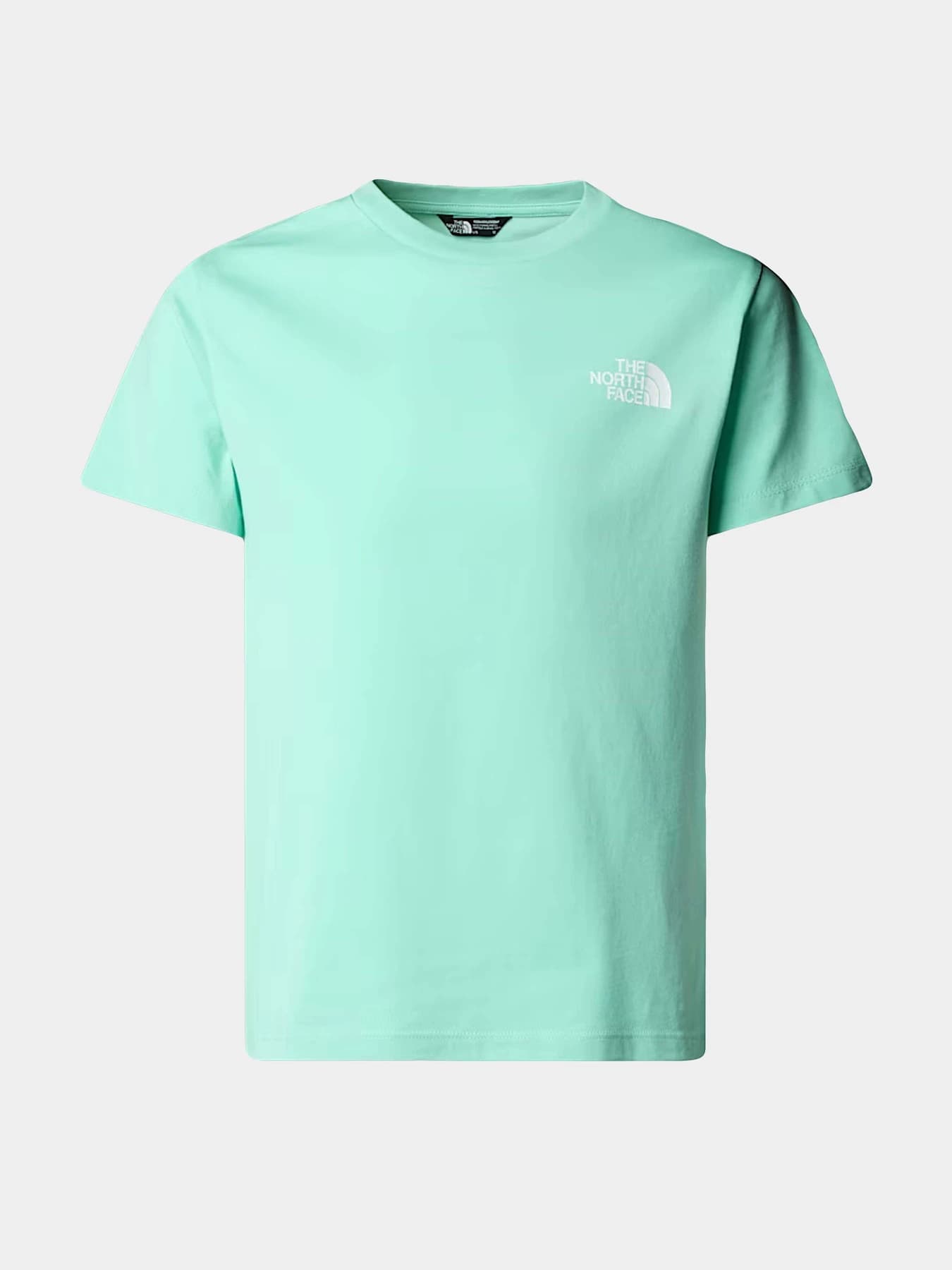 Футболки и поло The North Face модель NF0A8DRP6EI1