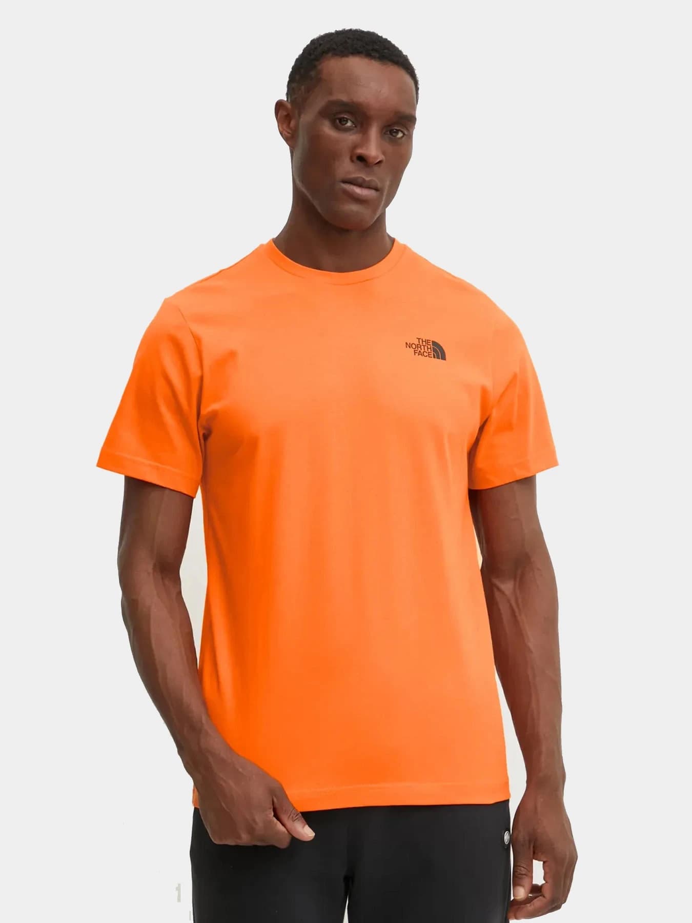 Футболки и поло The North Face модель NF0A87NPAQE1