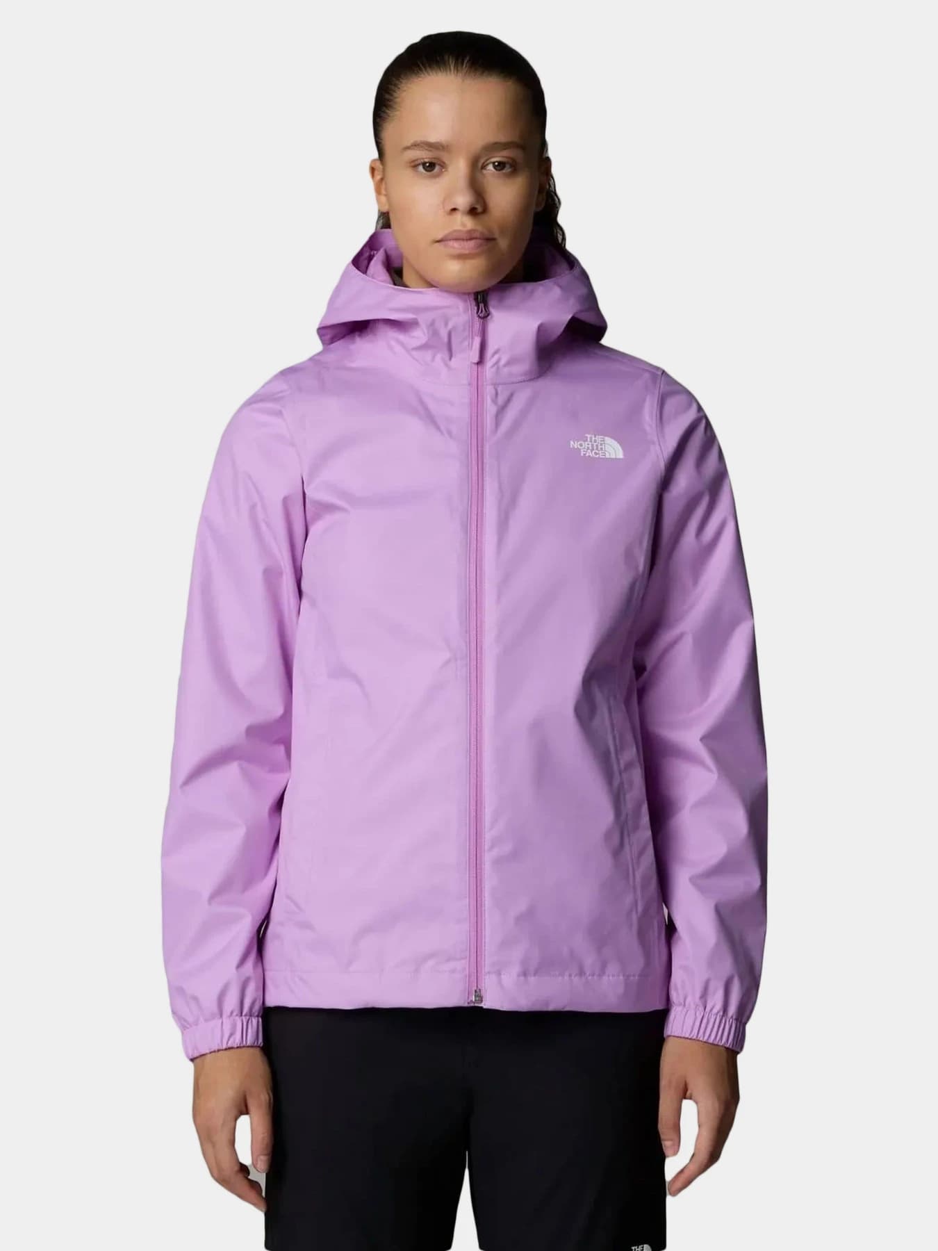 Куртки и дубленки The North Face модель NF00A8BA0XO1