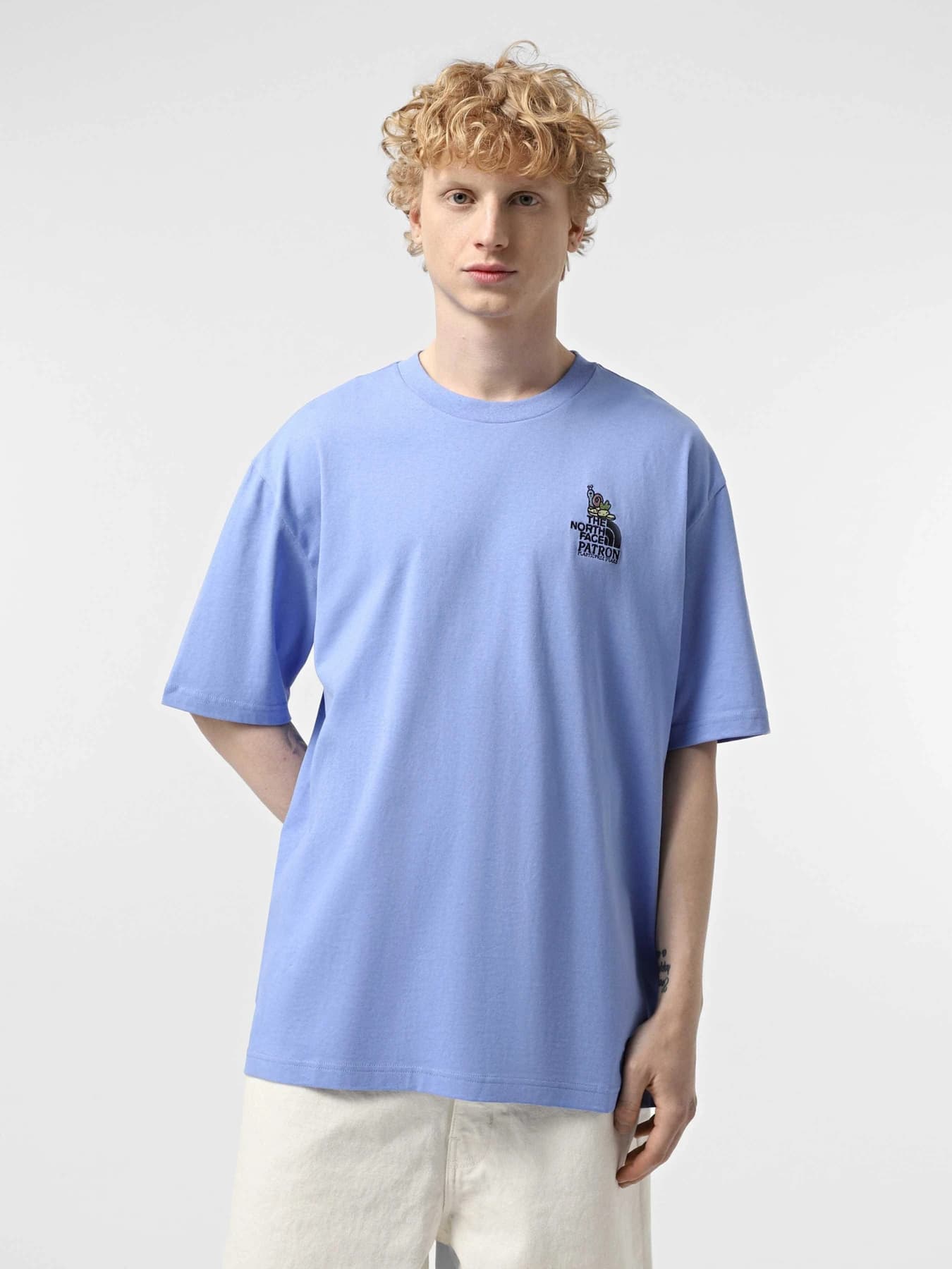 Футболки и поло The North Face модель NF0A8C2T0YI1