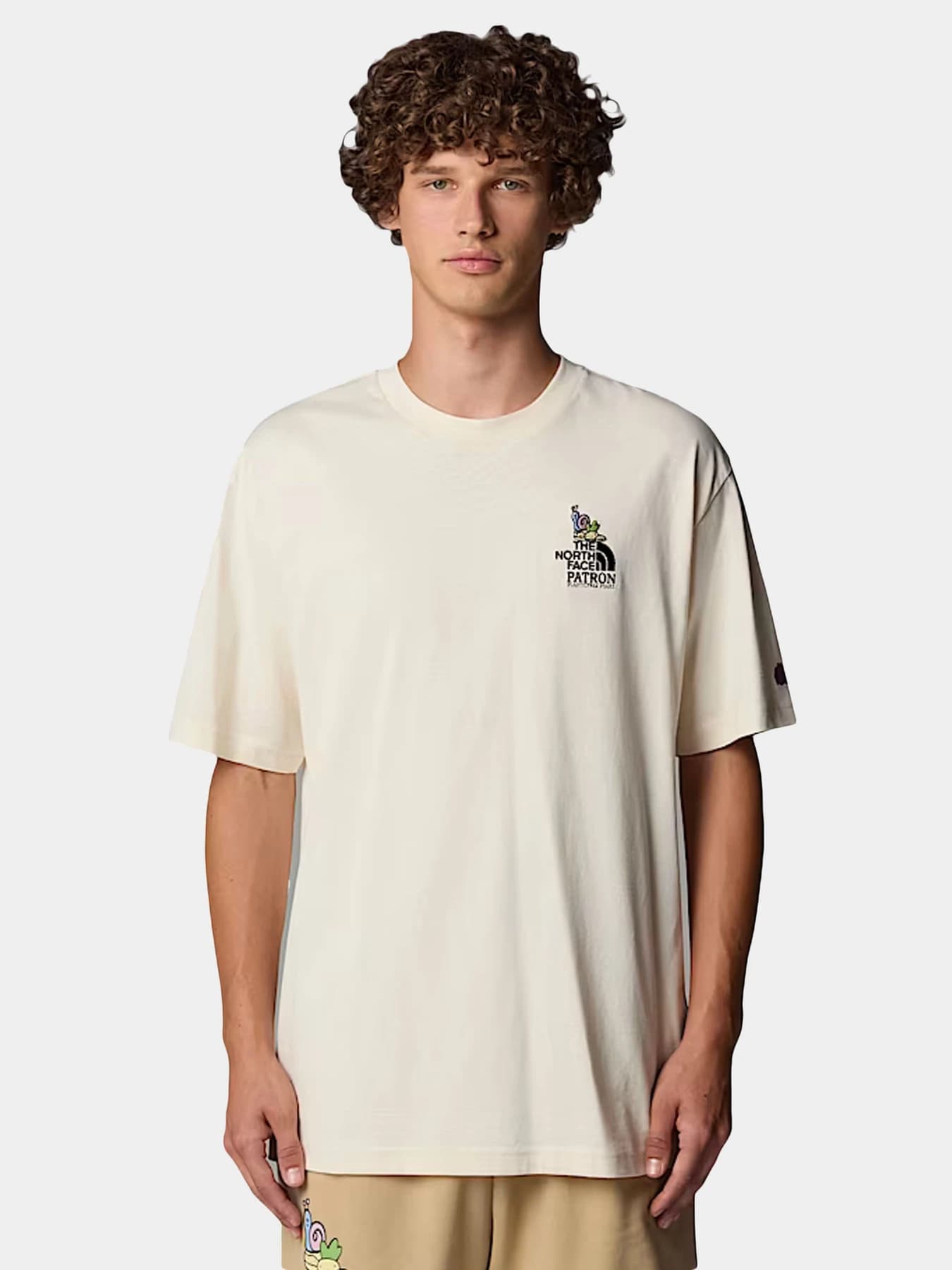 Футболки и поло The North Face модель NF0A8C2TQLI1