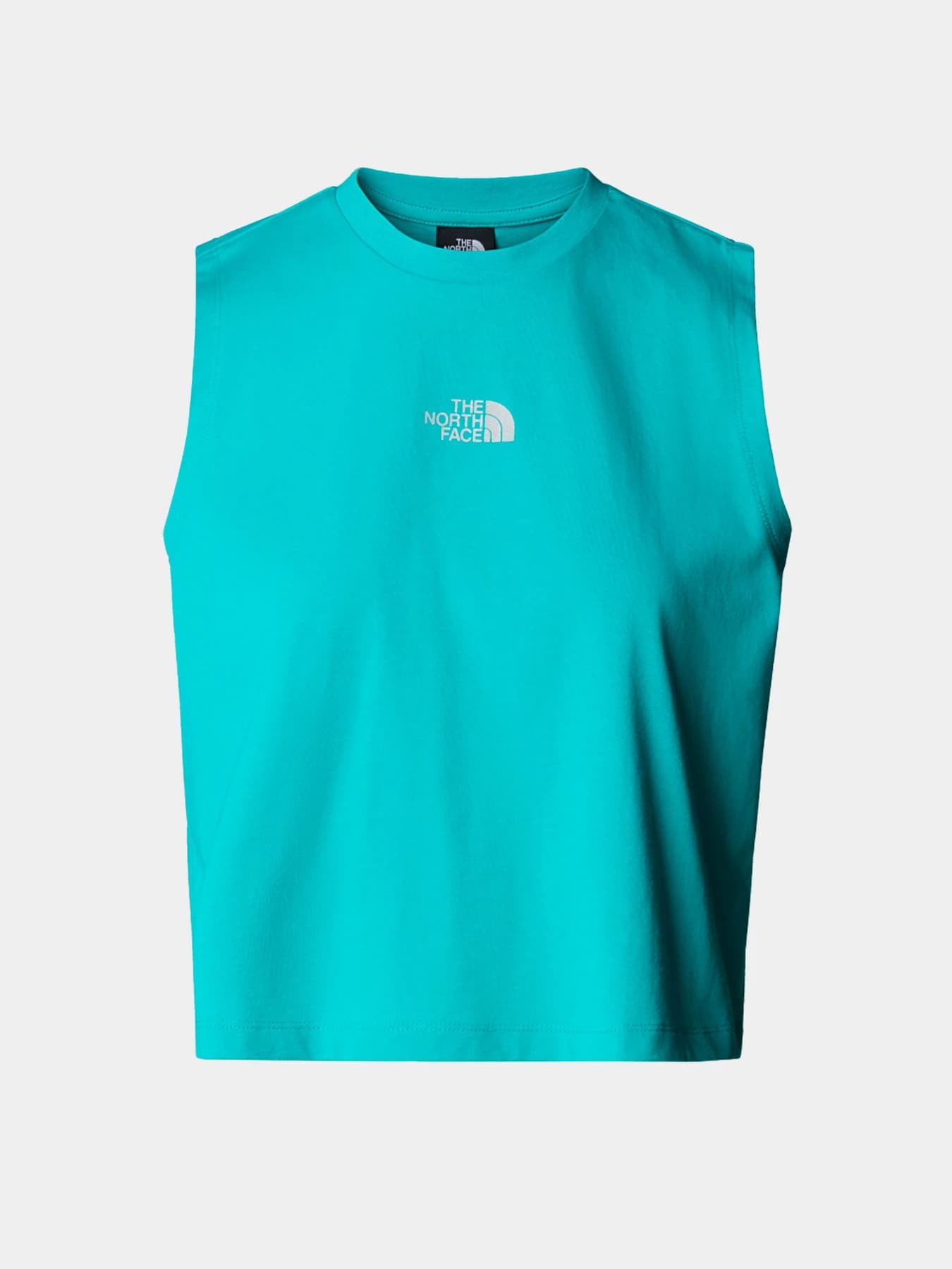 Футболки и поло The North Face модель NF0A8C3EE6F1