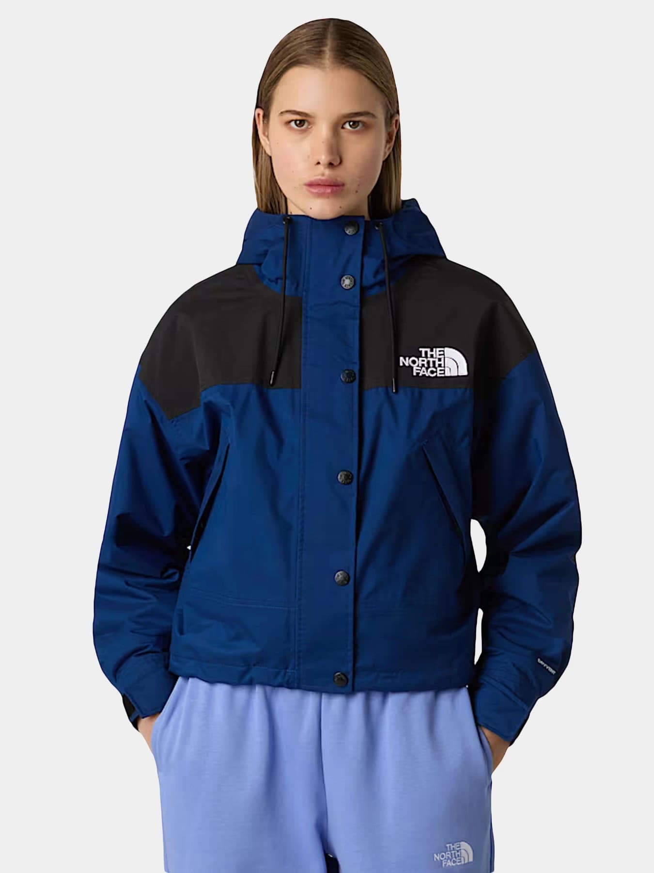 Куртки и дубленки The North Face модель NF0A8BCHF1T1