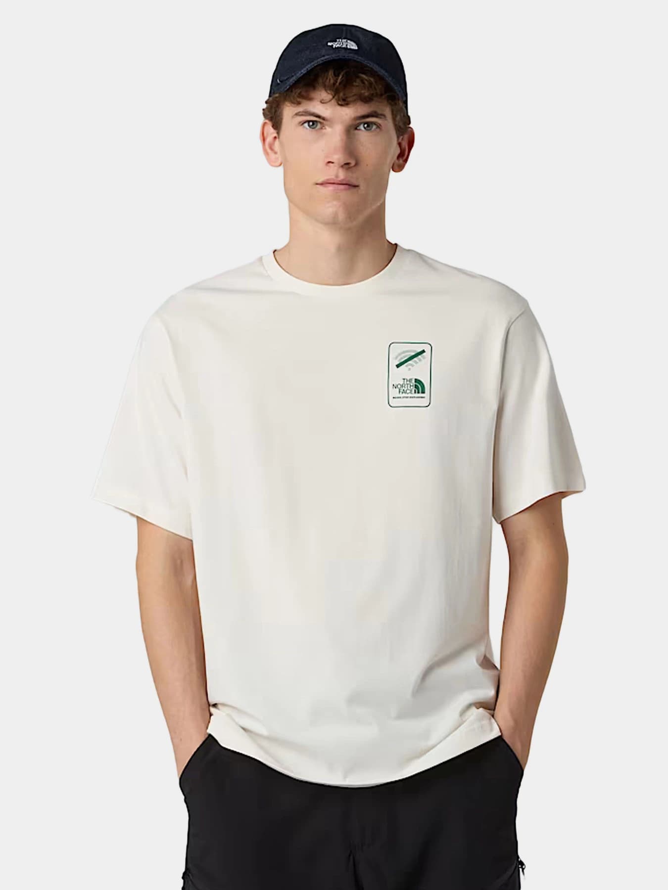 Футболки и поло The North Face модель NF0A8F2MQLI1