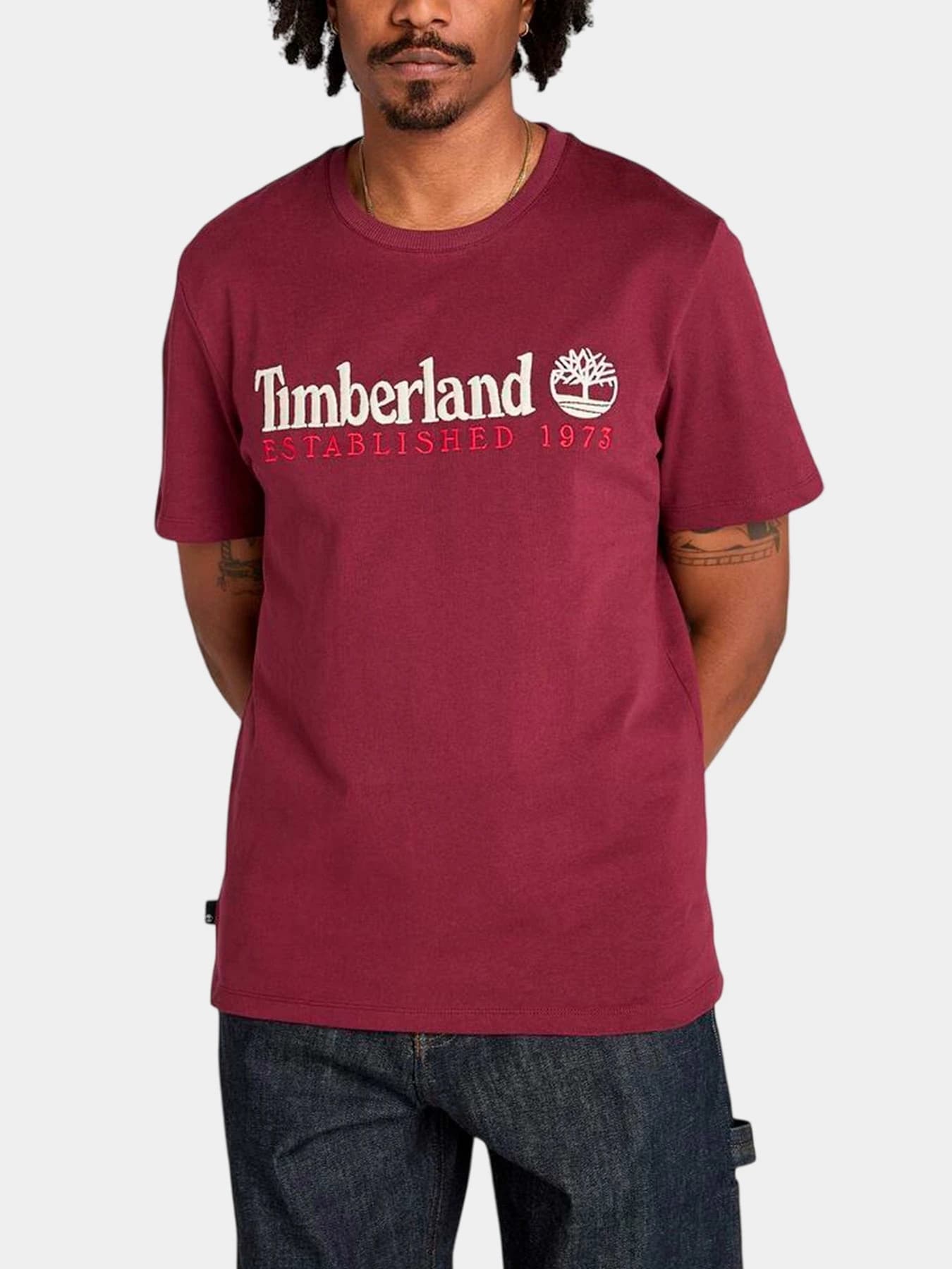 Футболки и поло Timberland модель TB0A6SE1648