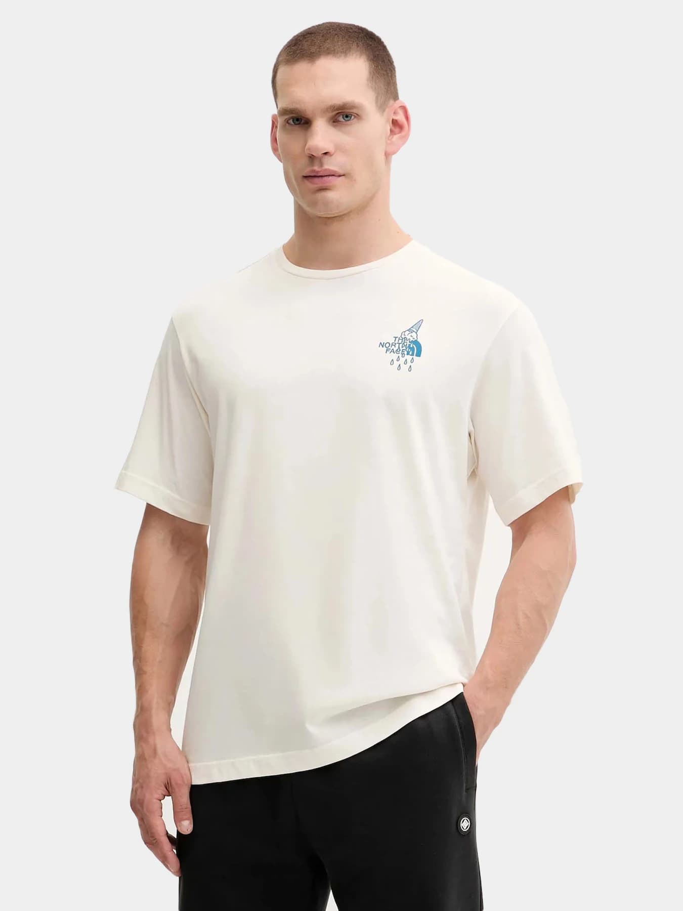 Футболки и поло The North Face модель NF0A8E4DQLI1