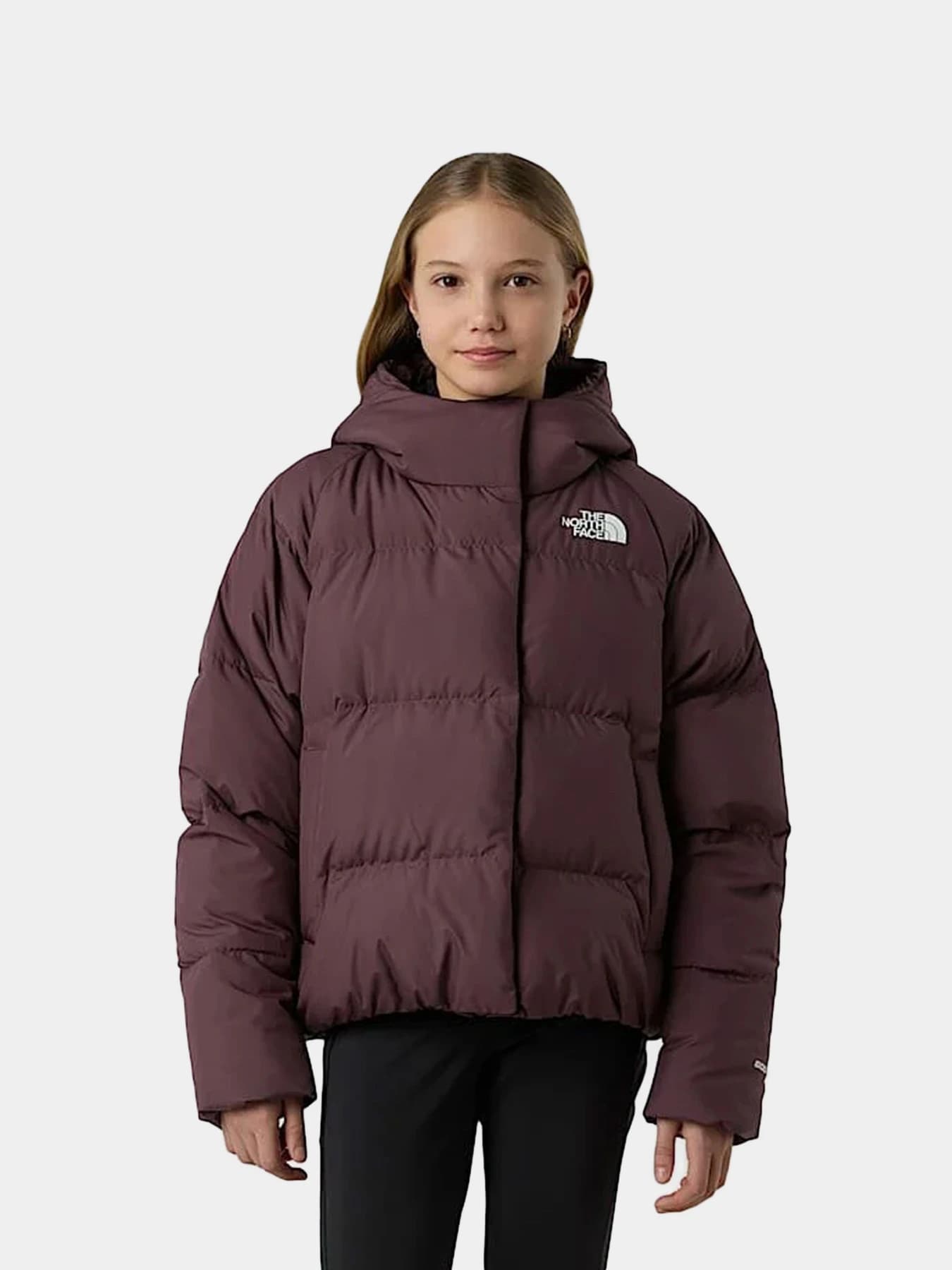 Куртки и дубленки The North Face модель NF0A88UDBQ71