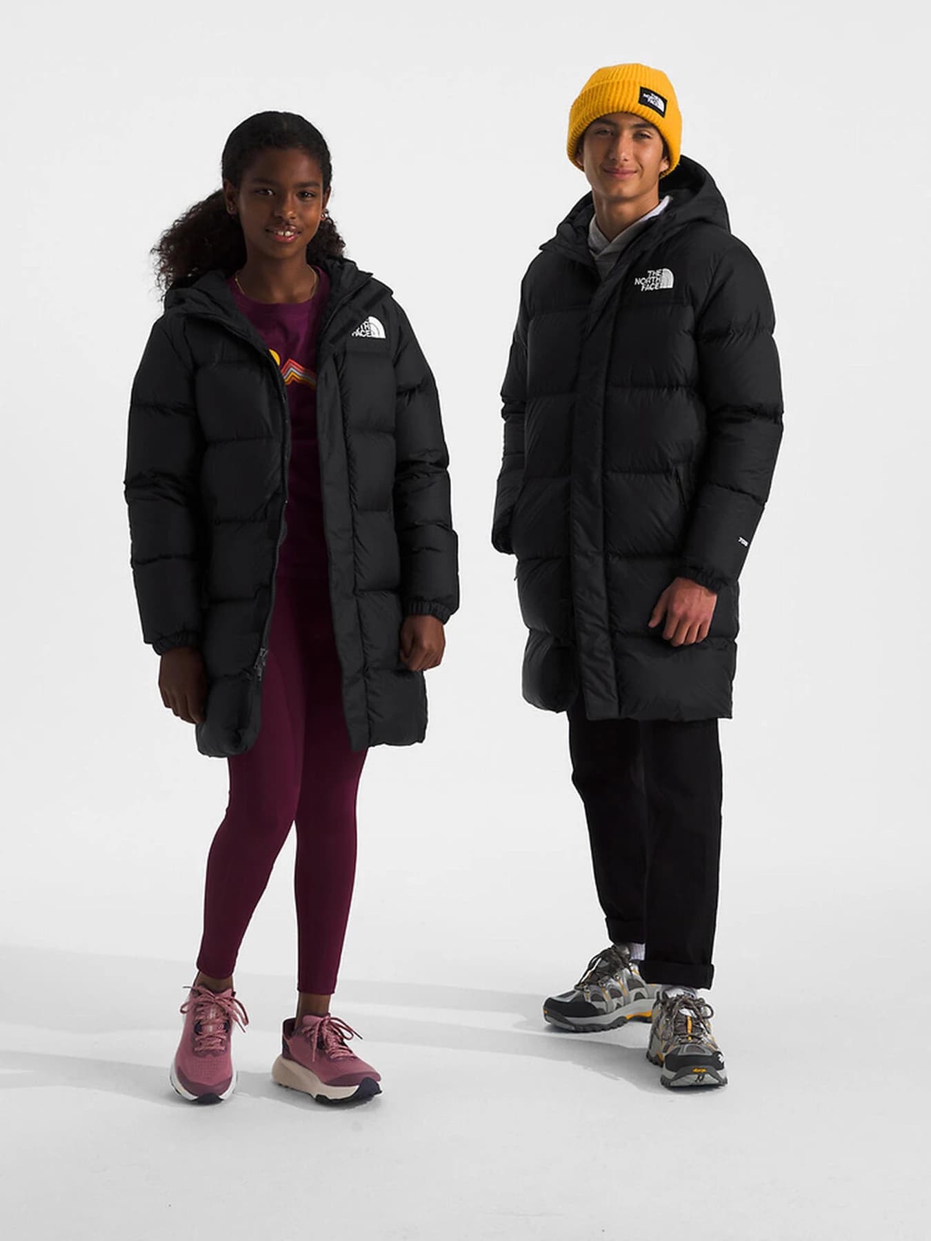 Куртки и дубленки The North Face модель NF0A88UFKX71