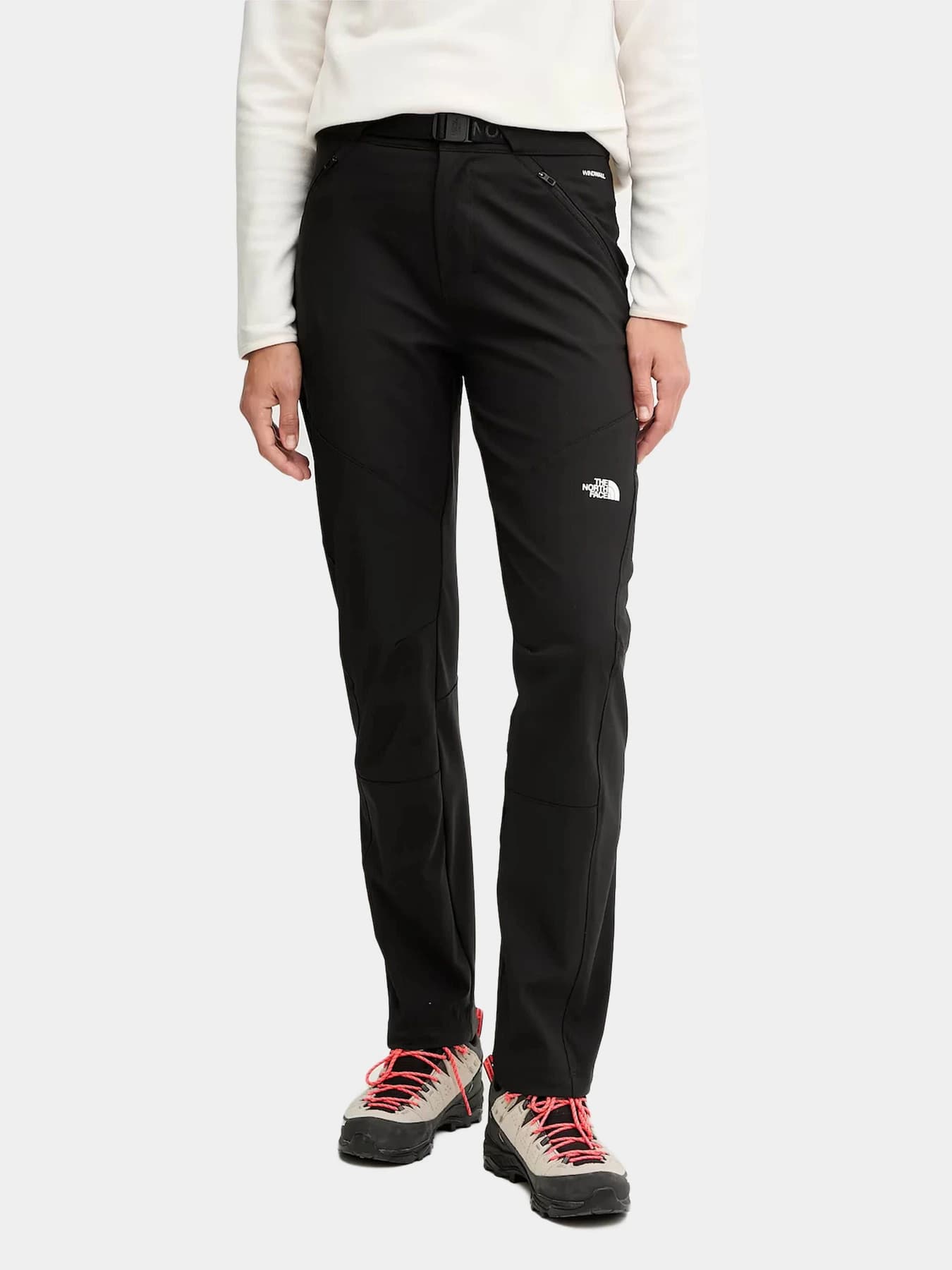 Брюки The North Face модель NF0A8E1HJK31