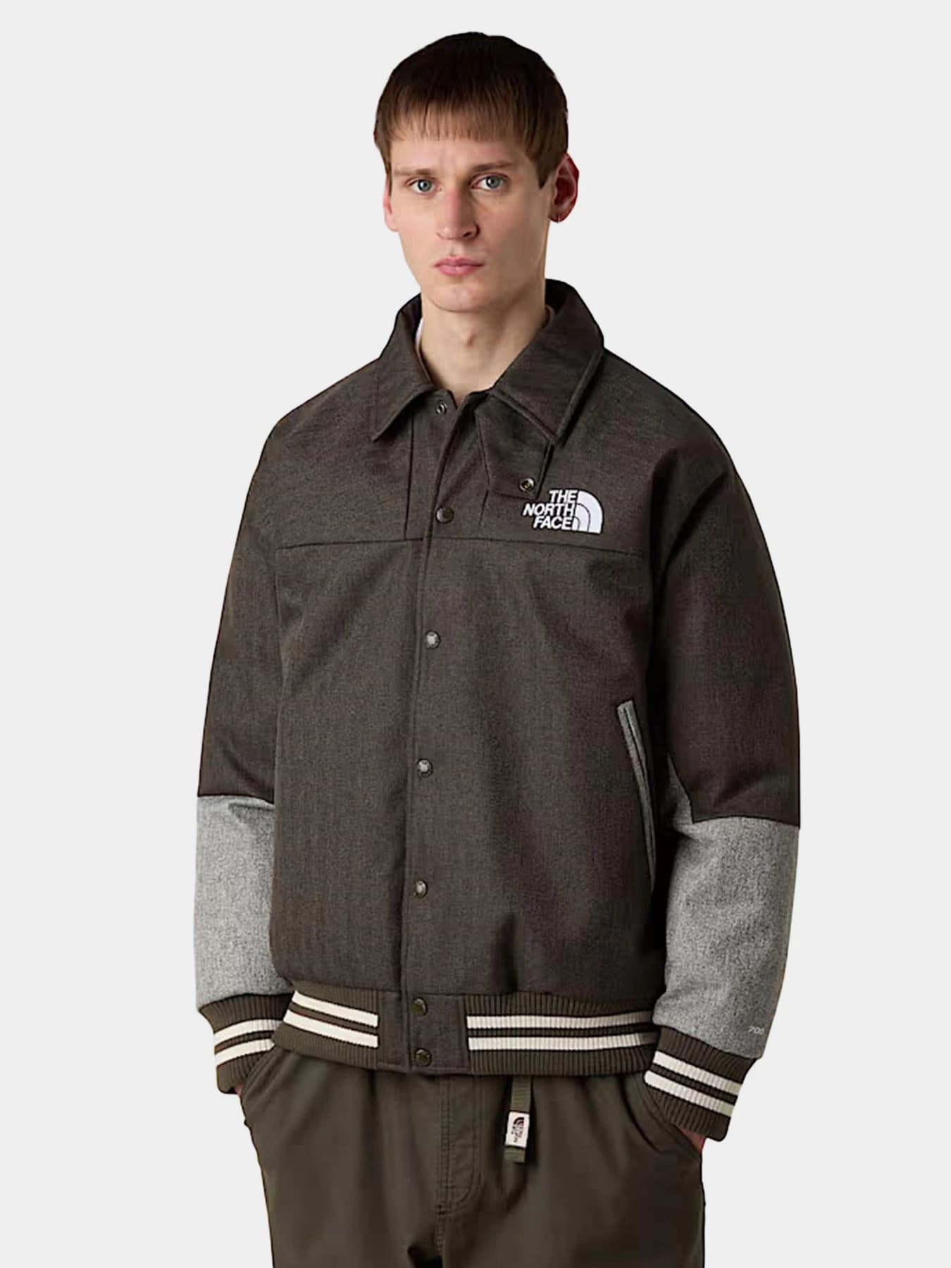 Куртки и дубленки The North Face модель NF0A8E1T9K01