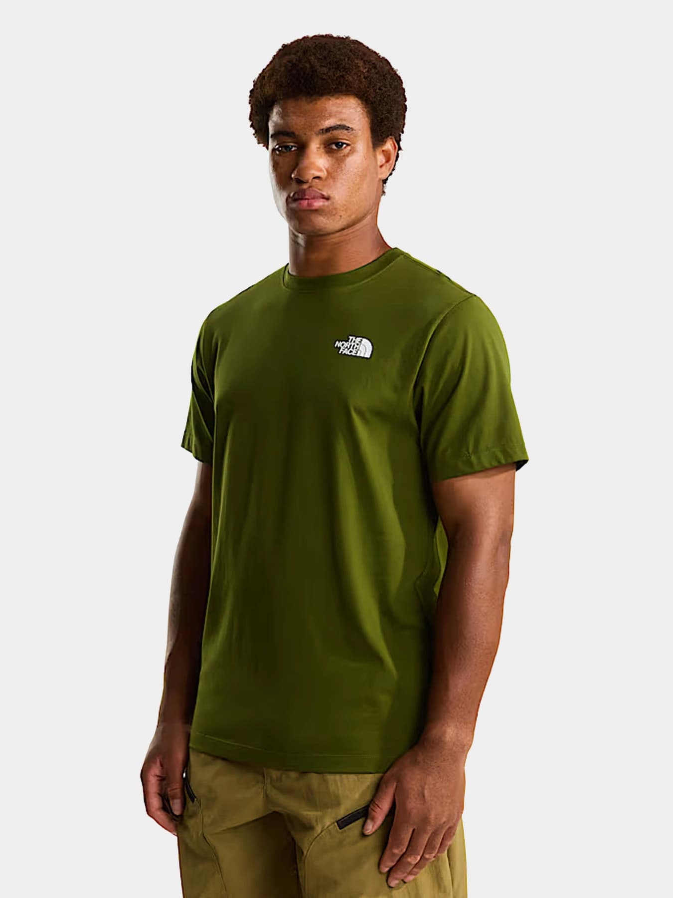 Футболки и поло The North Face модель NF0A8GV2BRI1