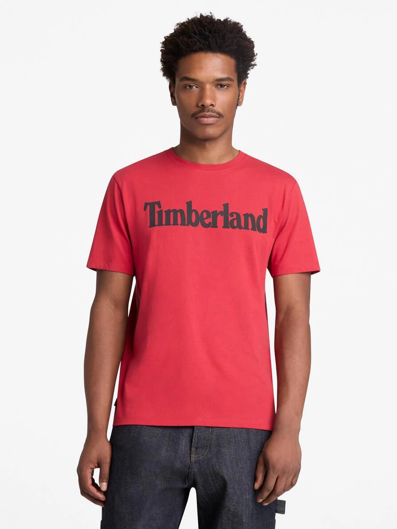Футболки и поло Timberland модель TB0A2BRNN96