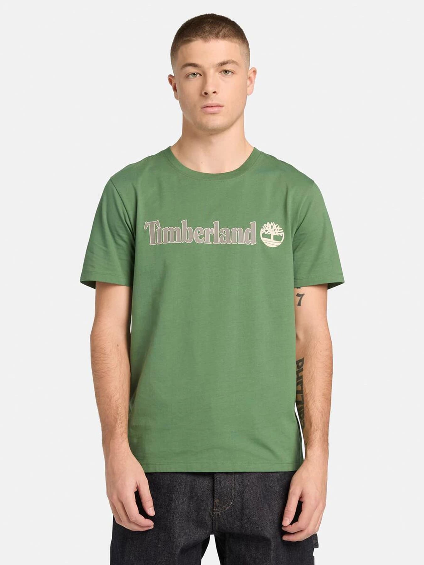 Футболки и поло Timberland модель TB0A5UPQA6Z