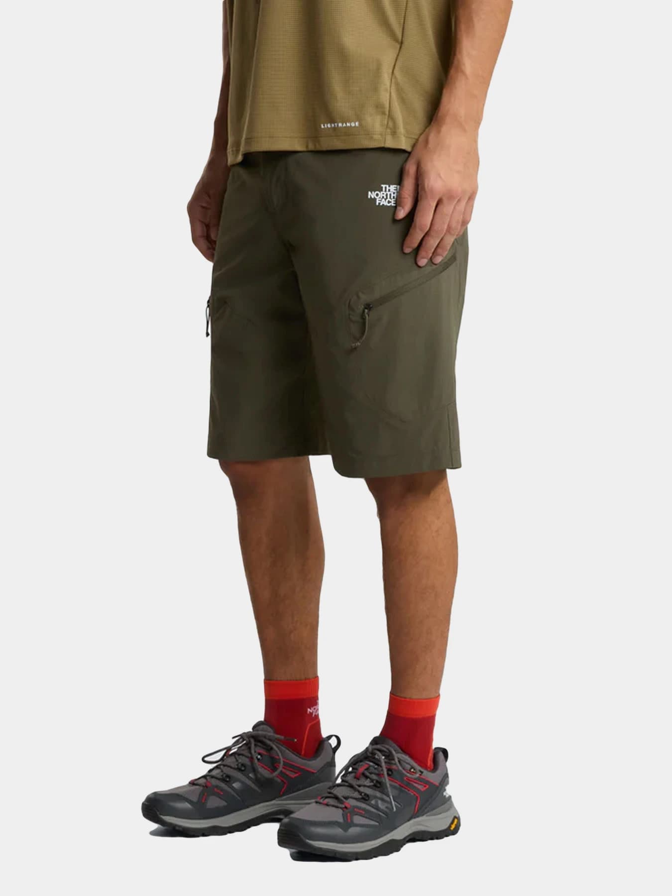 Шорты The North Face модель NF0A8FU921L1