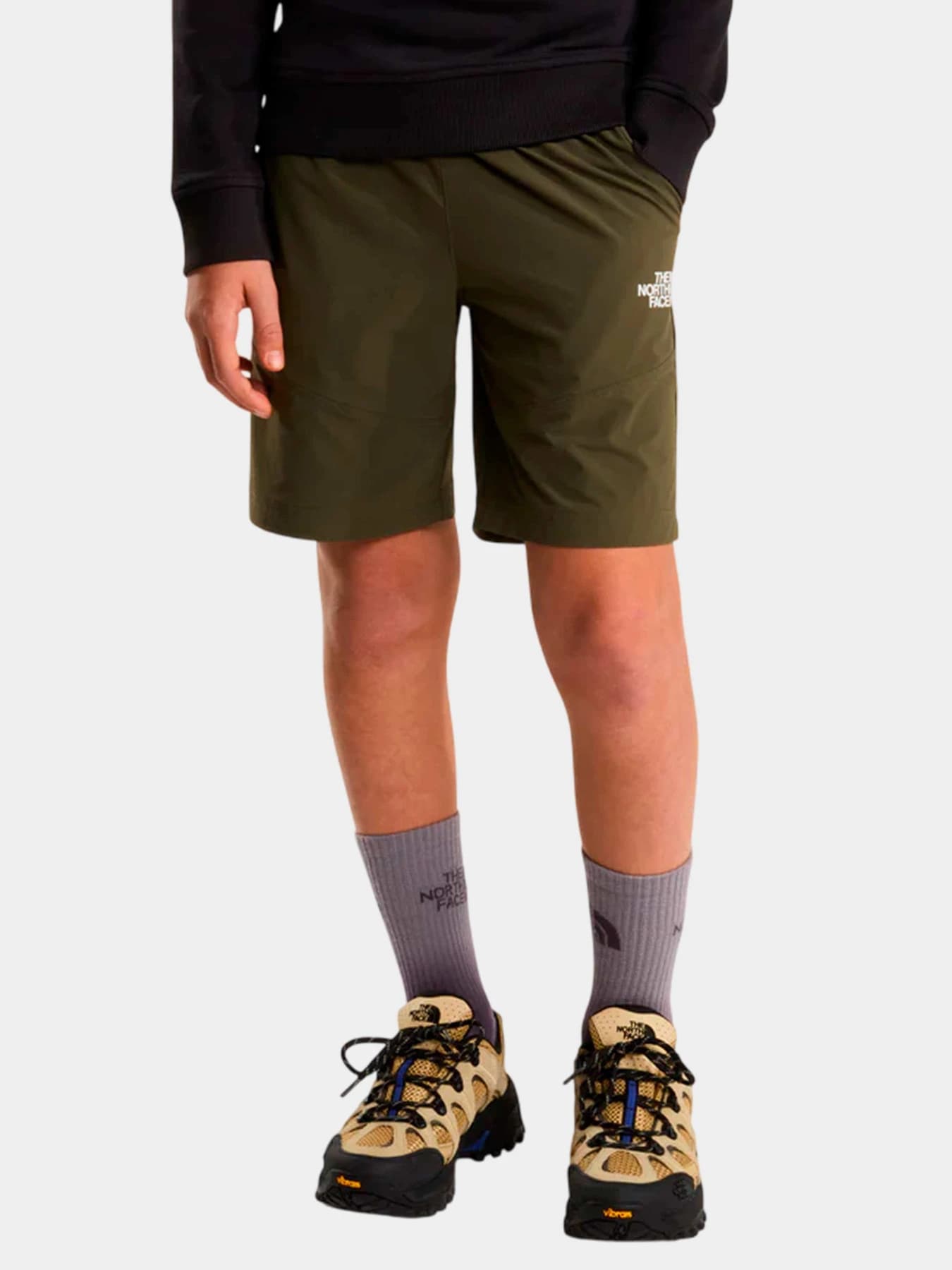 Шорты The North Face модель NF0A8FYV21L1