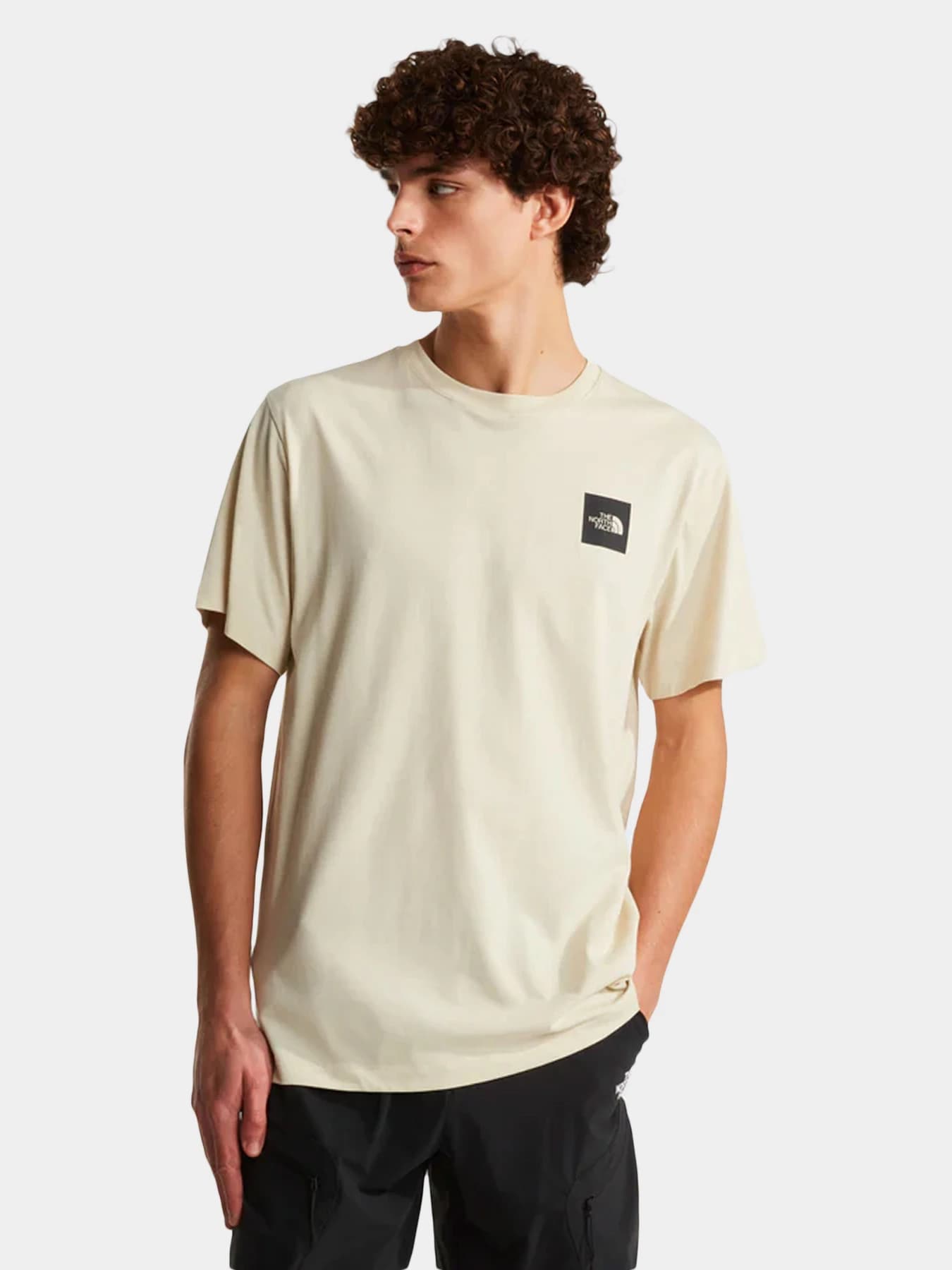 Футболки и поло The North Face модель NF0A8G9CDOM1
