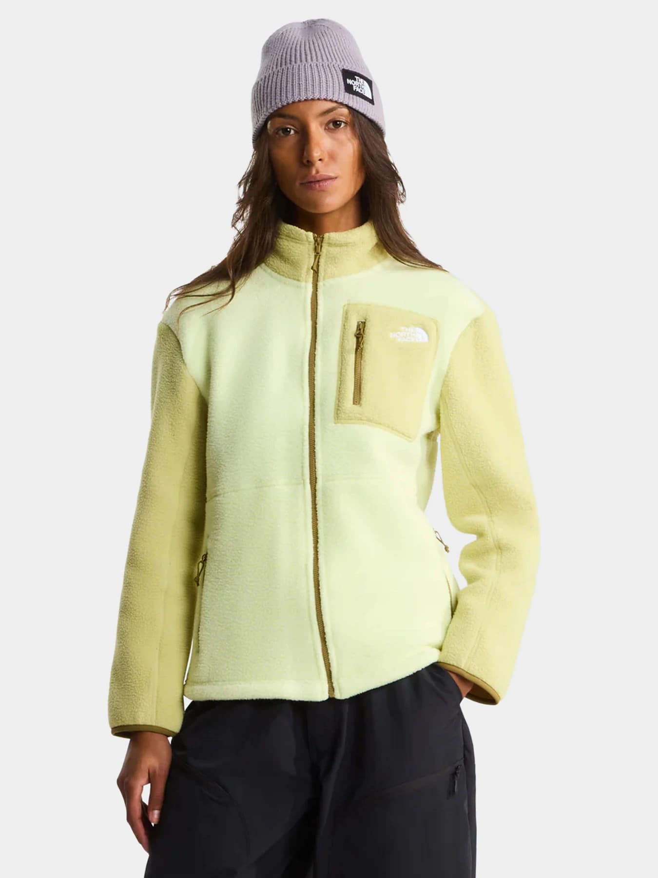 Худи и свитшоты The North Face модель NF0A8E88M2E1