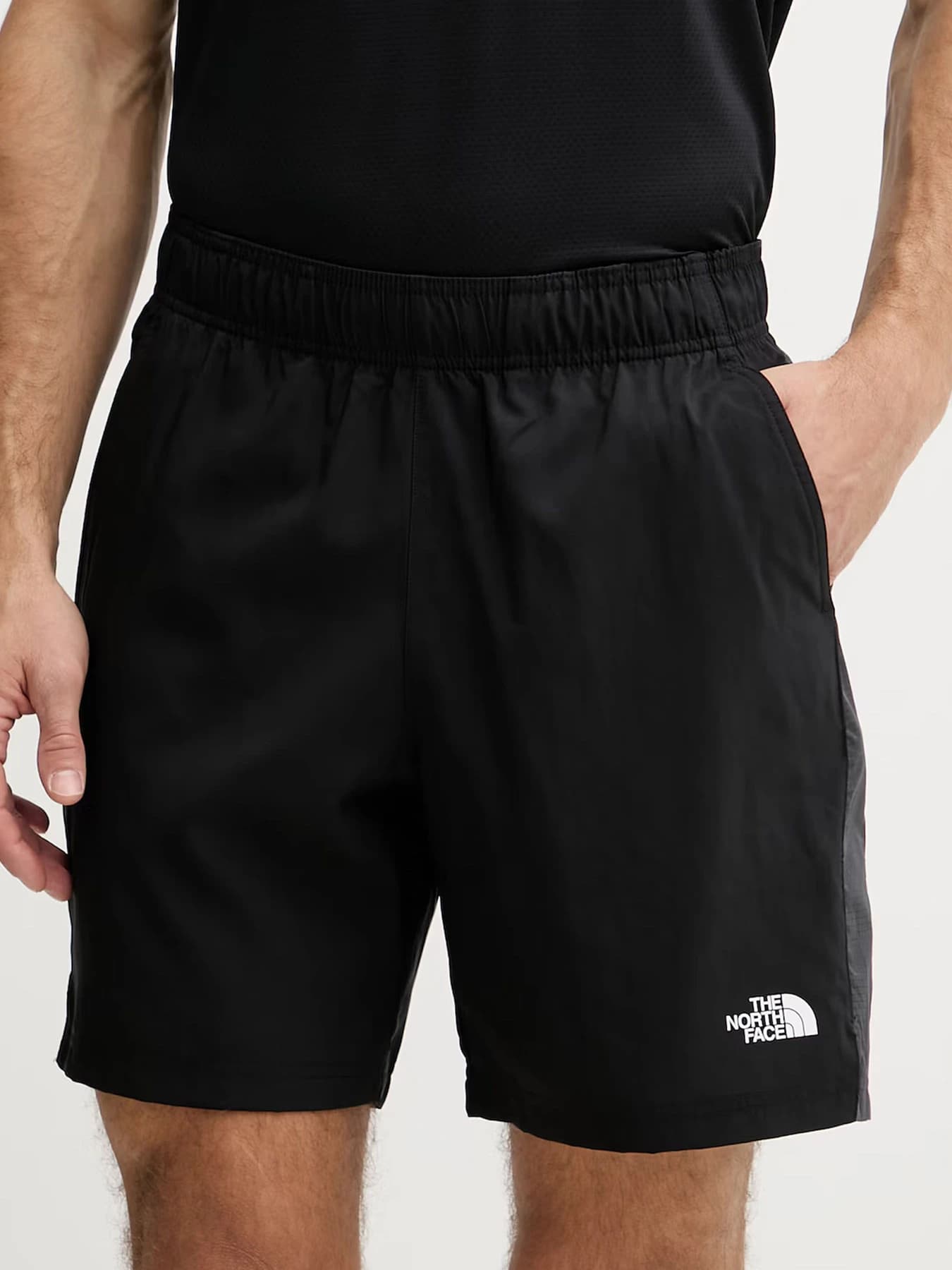 Шорты The North Face модель NF0A8BEQKT01