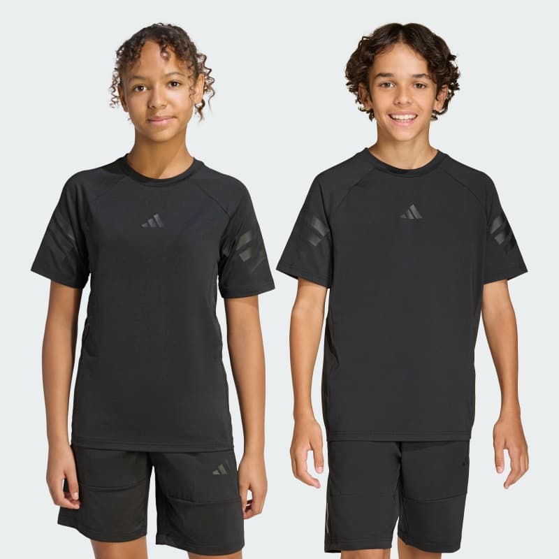 Футболка SPORT ICONS 3 STRIPES